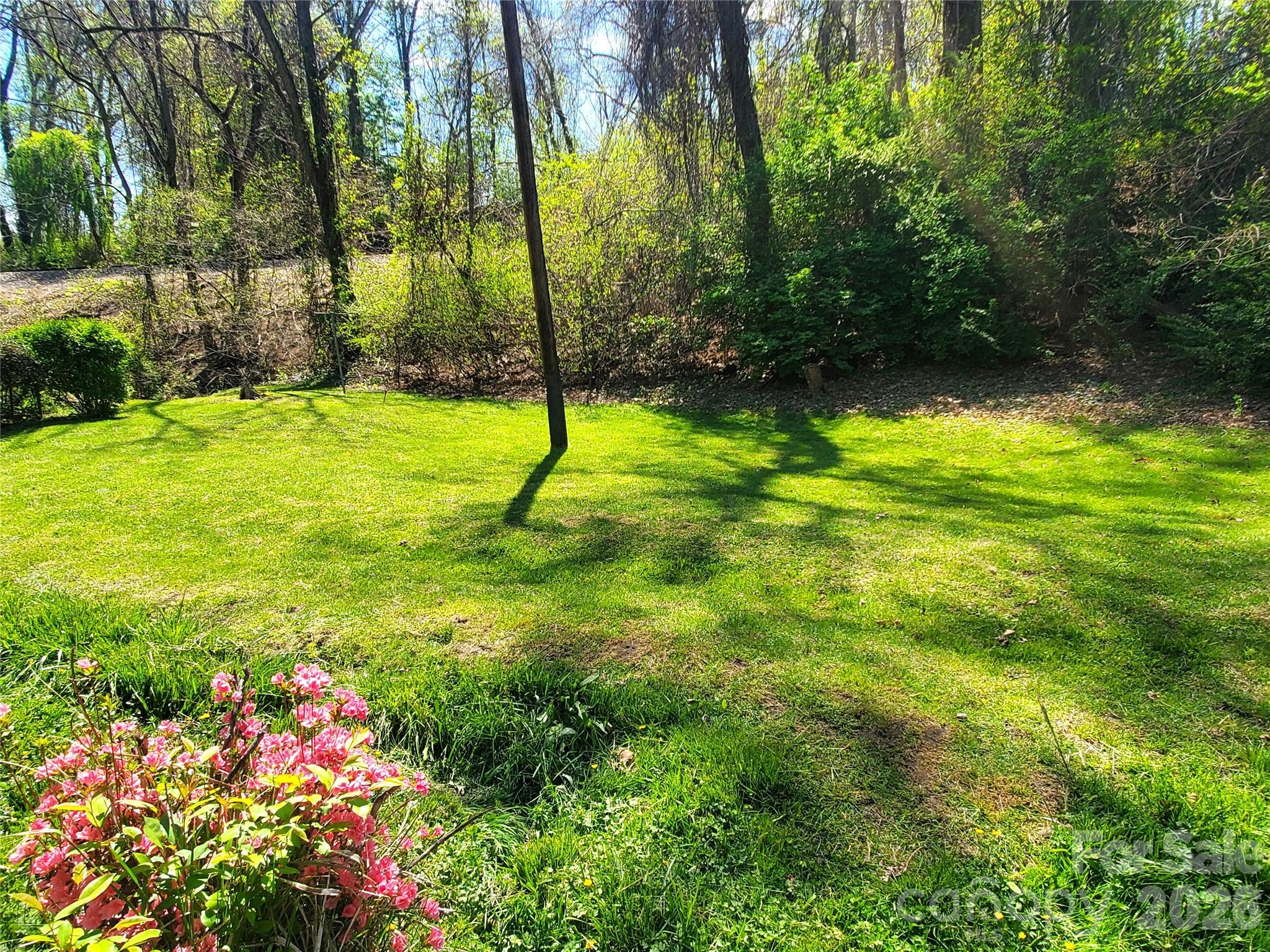 20 Homewood Drive Property Photo 16