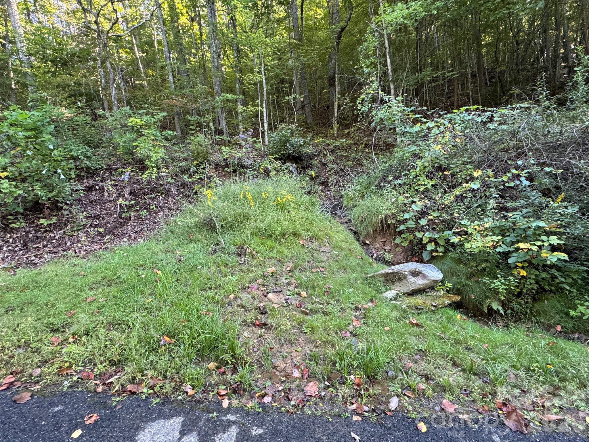 Tbd Red Oak Forest Road Property Photo 1