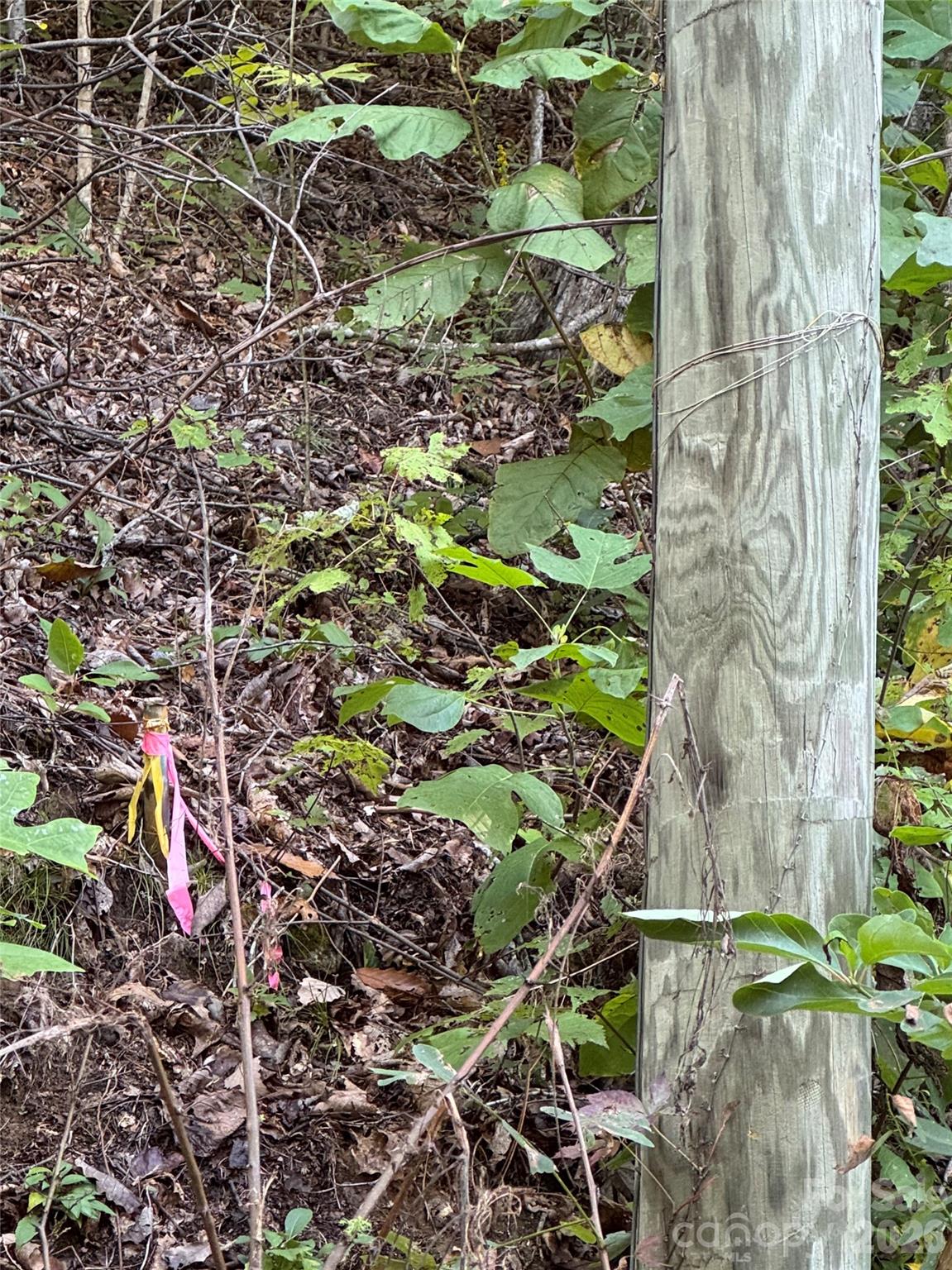 Tbd Red Oak Forest Road Property Photo 3