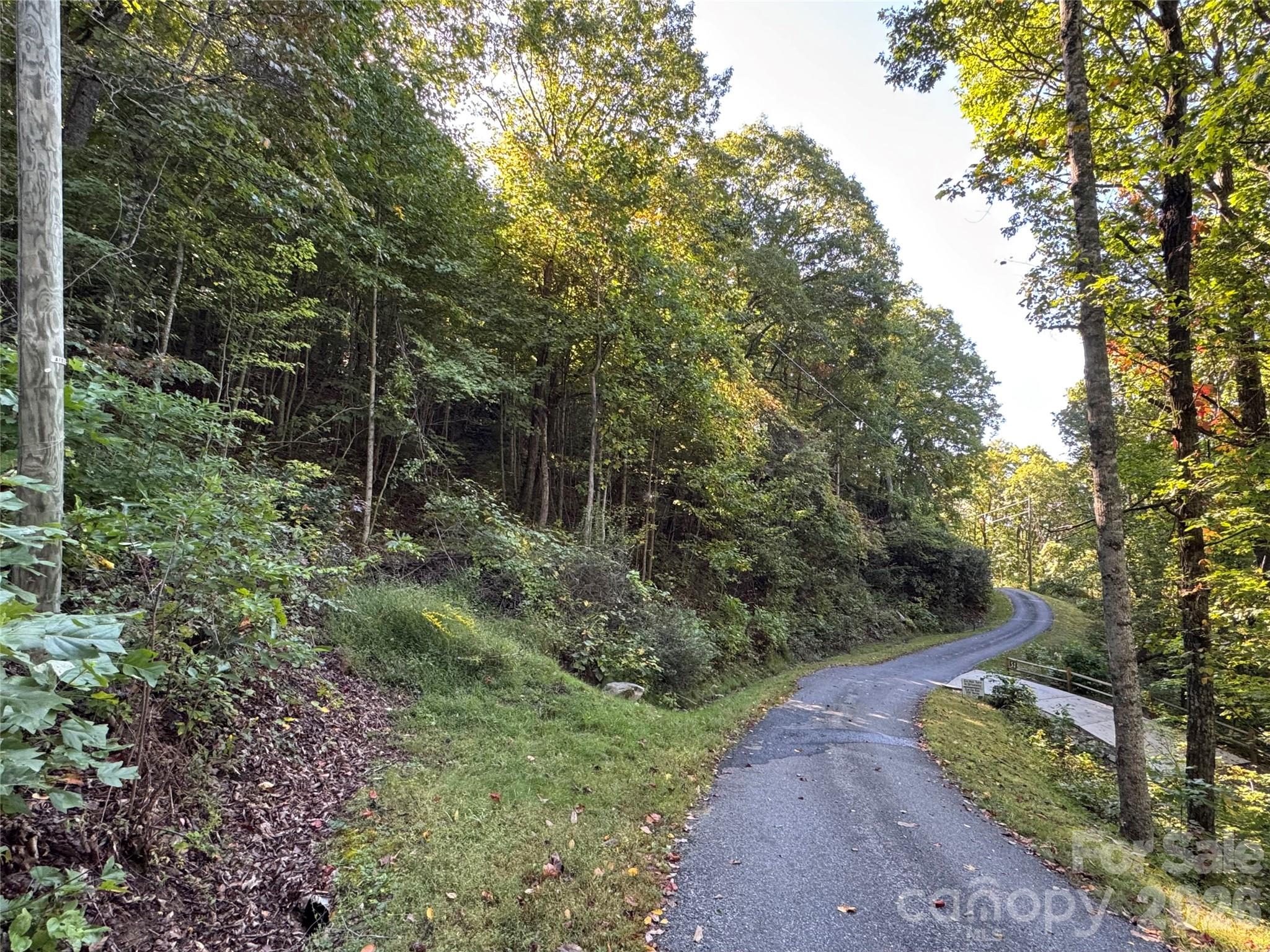 Tbd Red Oak Forest Road Property Photo 4