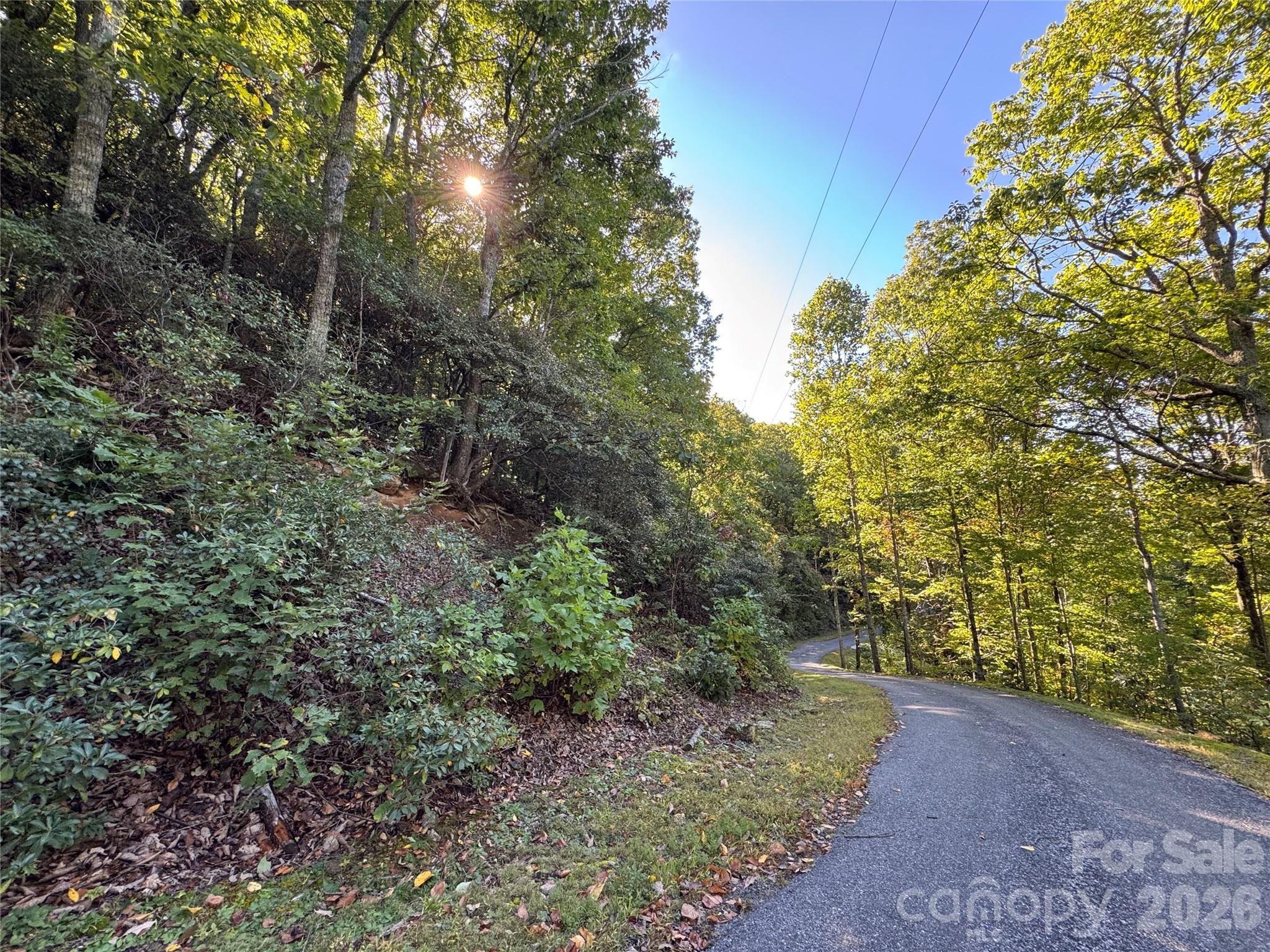 Tbd Red Oak Forest Road Property Photo 5