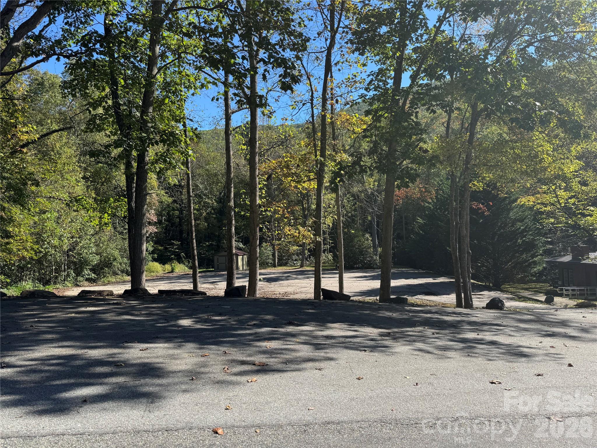 Tbd Red Oak Forest Road Property Photo 9