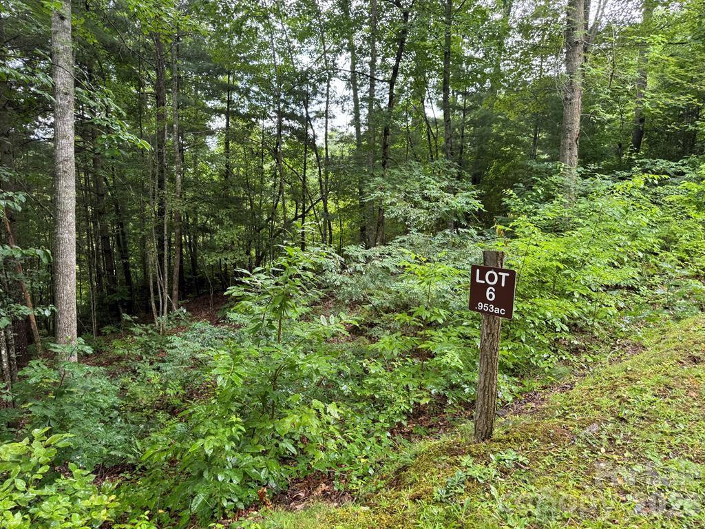 Lot 6 Garnet Road Property Photo 1