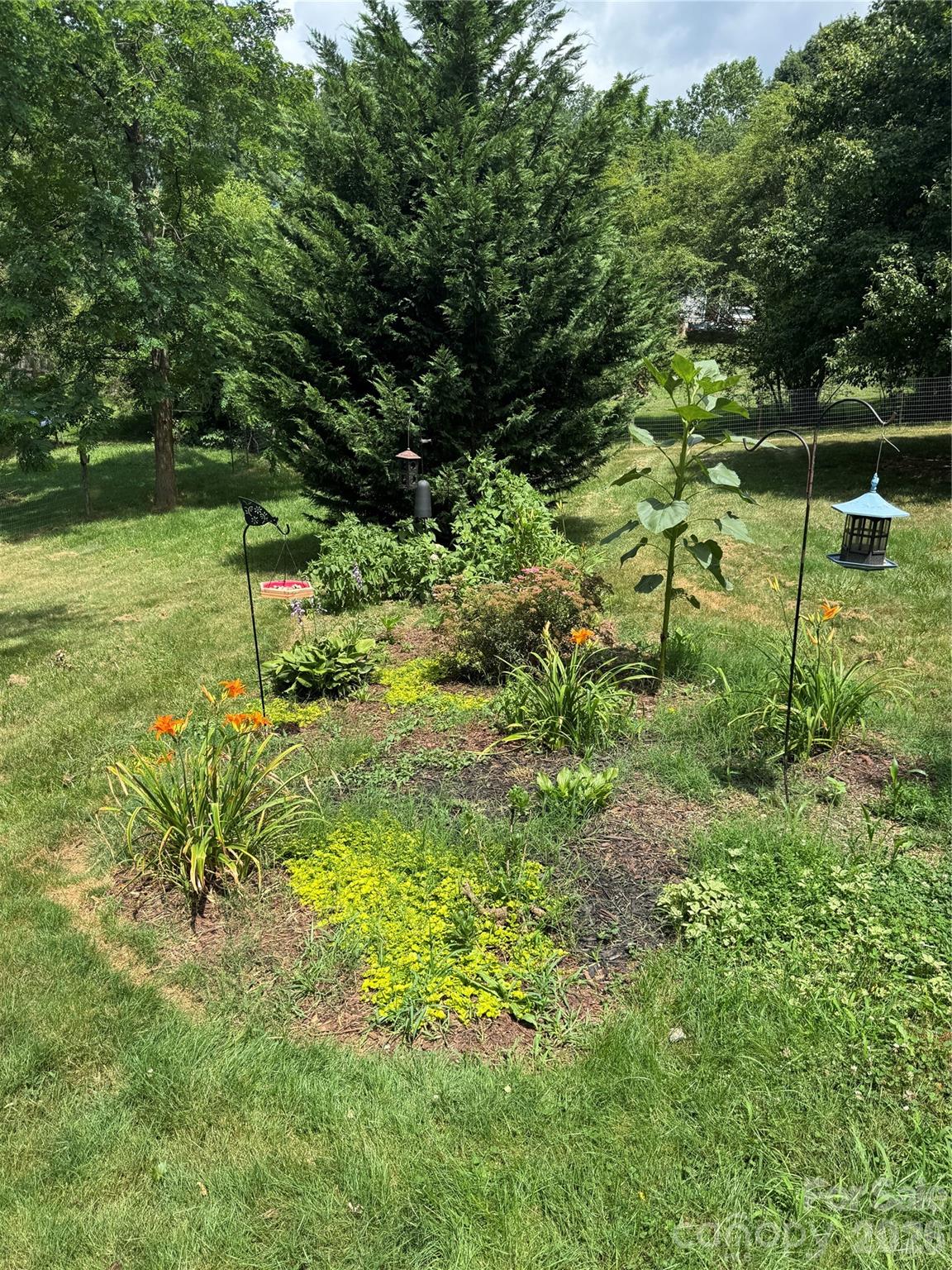 3 Odie Lane Property Photo 22