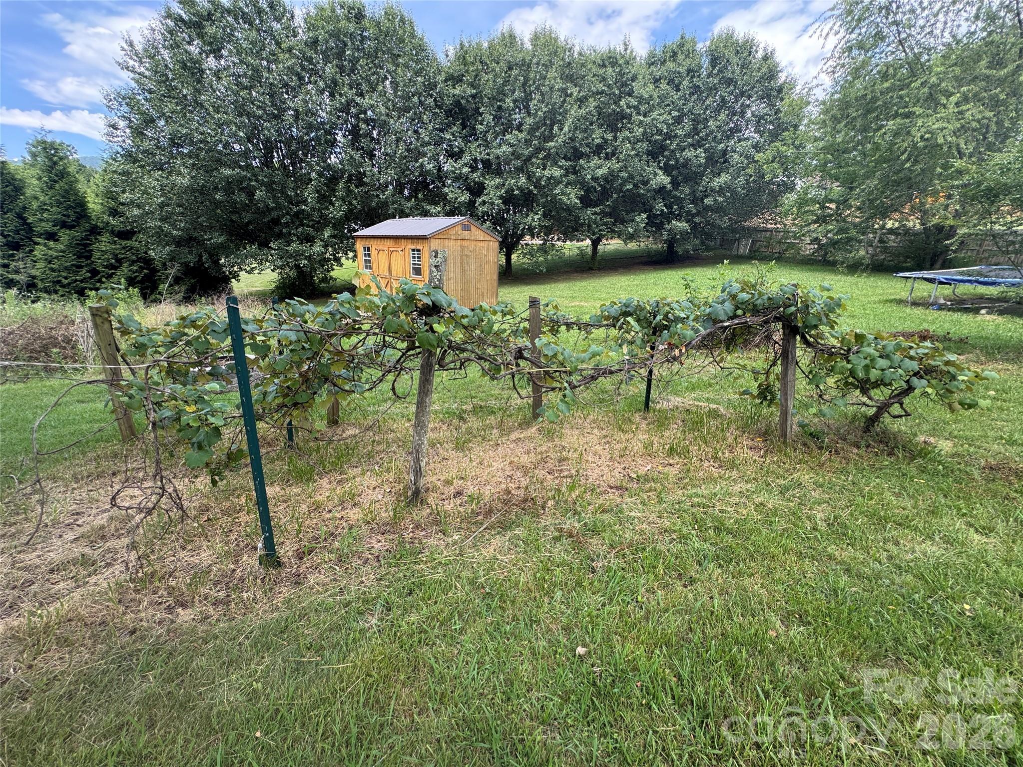 3 Odie Lane Property Photo 39