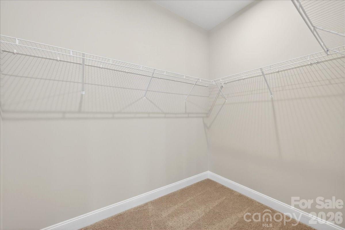 7929 Cedarsmith Court Property Photo 27