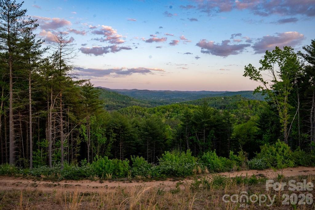 4454 Asheville Highway Property Photo 35