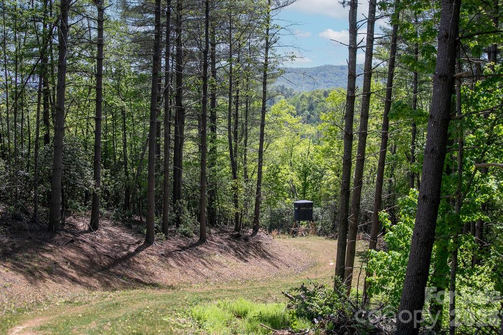 4454 Asheville Highway Property Photo 42