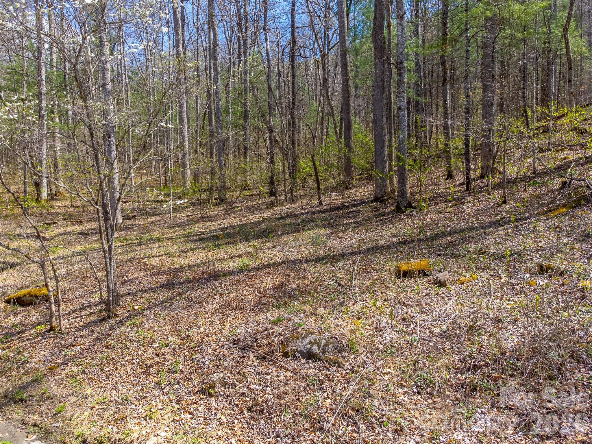 306 Cedar Creek Farm Road Property Photo 1