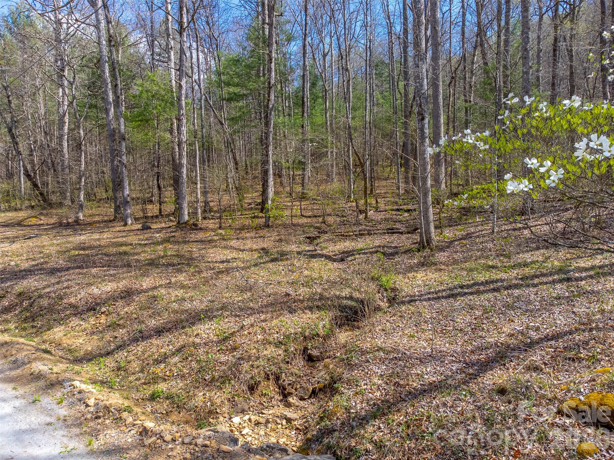 306 Cedar Creek Farm Road Property Photo 2