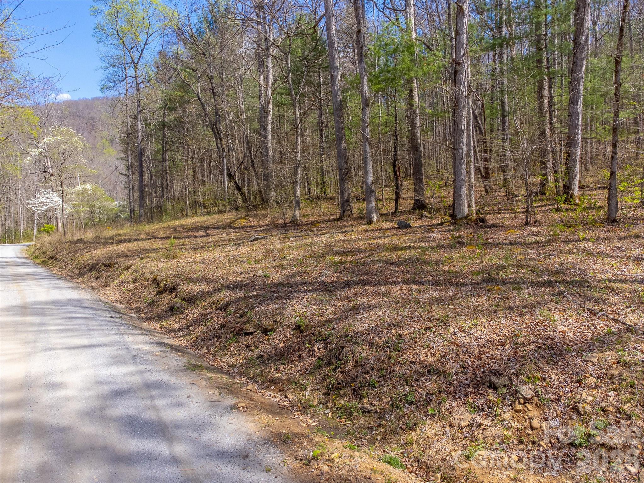 306 Cedar Creek Farm Road Property Photo 3