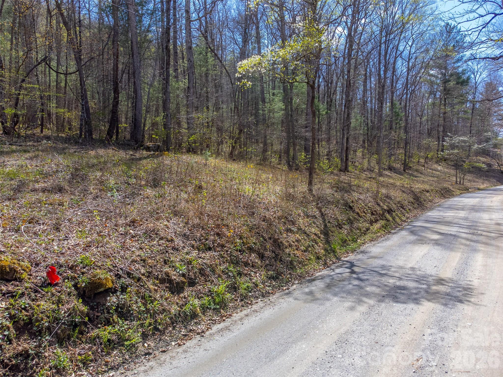 306 Cedar Creek Farm Road Property Photo 5