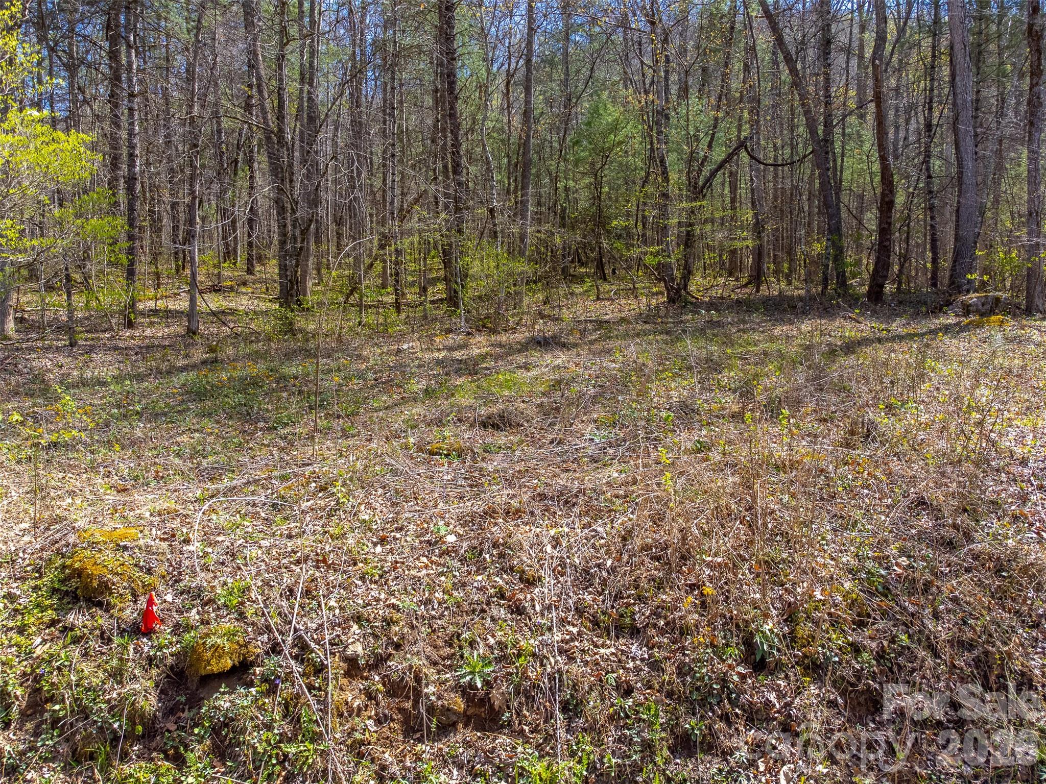 306 Cedar Creek Farm Road Property Photo 6