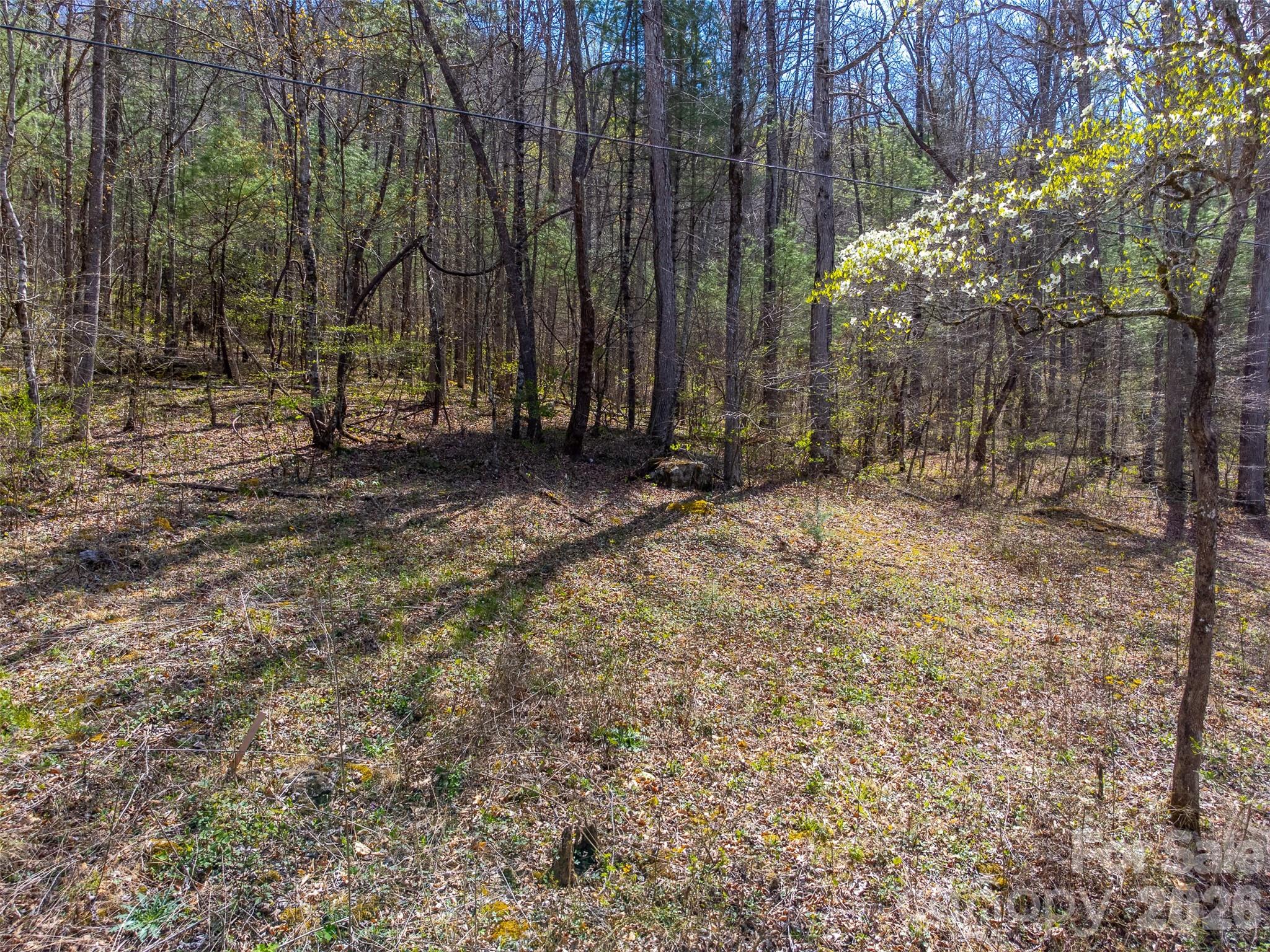 306 Cedar Creek Farm Road Property Photo 7