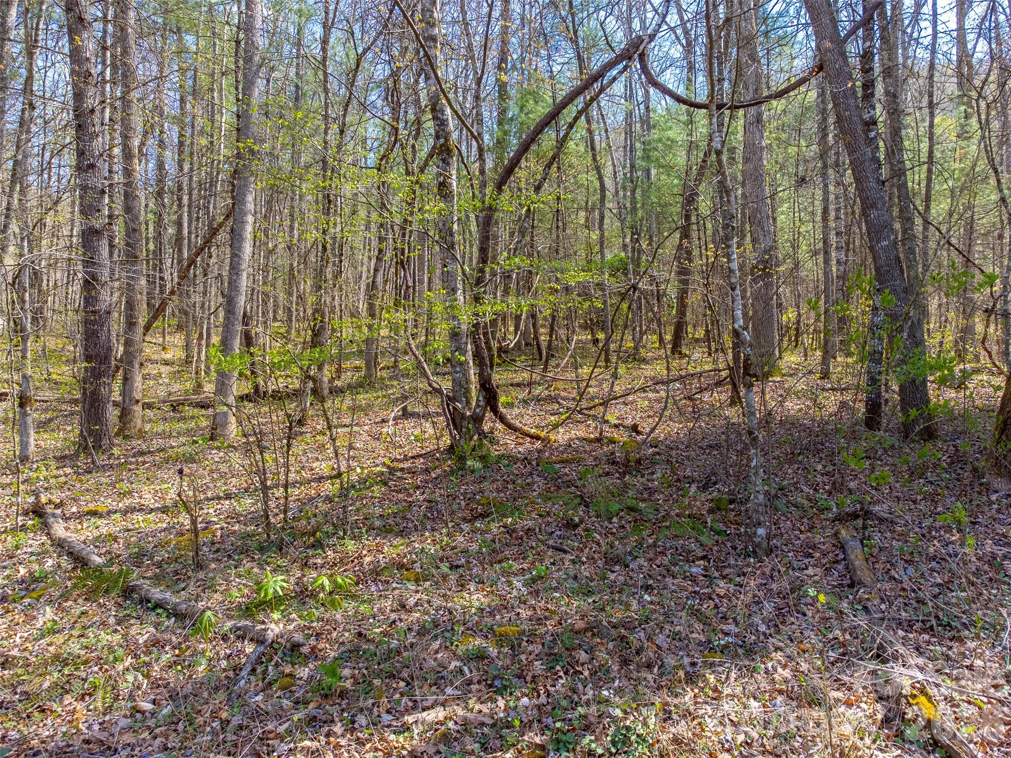 306 Cedar Creek Farm Road Property Photo 8