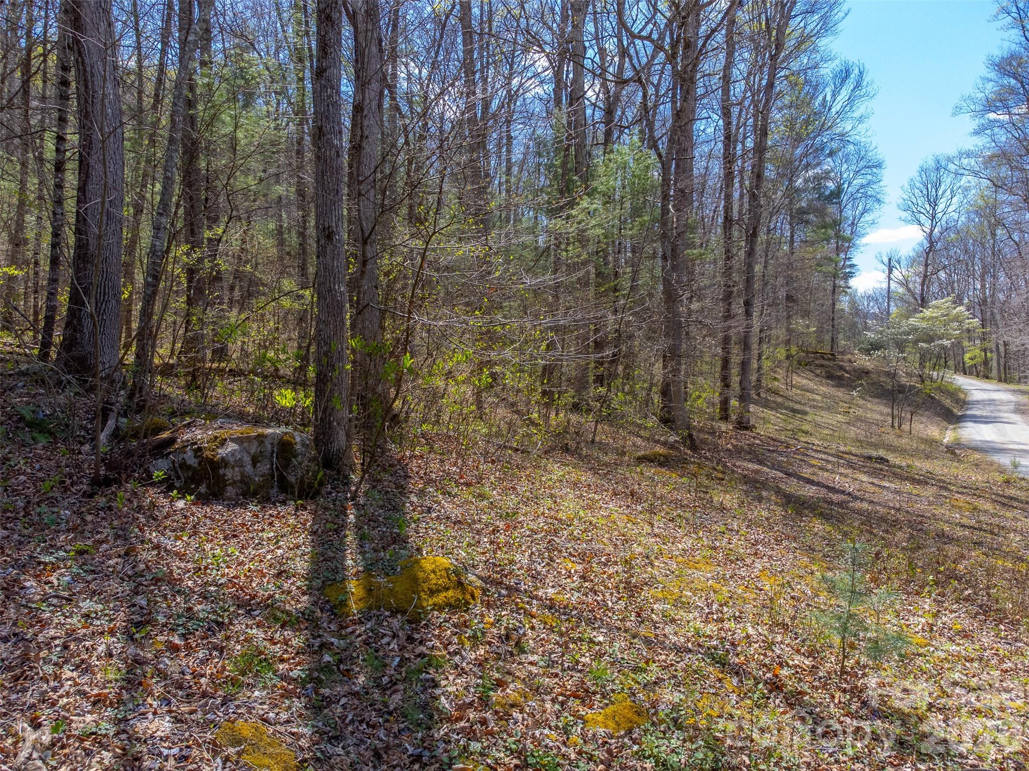 306 Cedar Creek Farm Road Property Photo 9