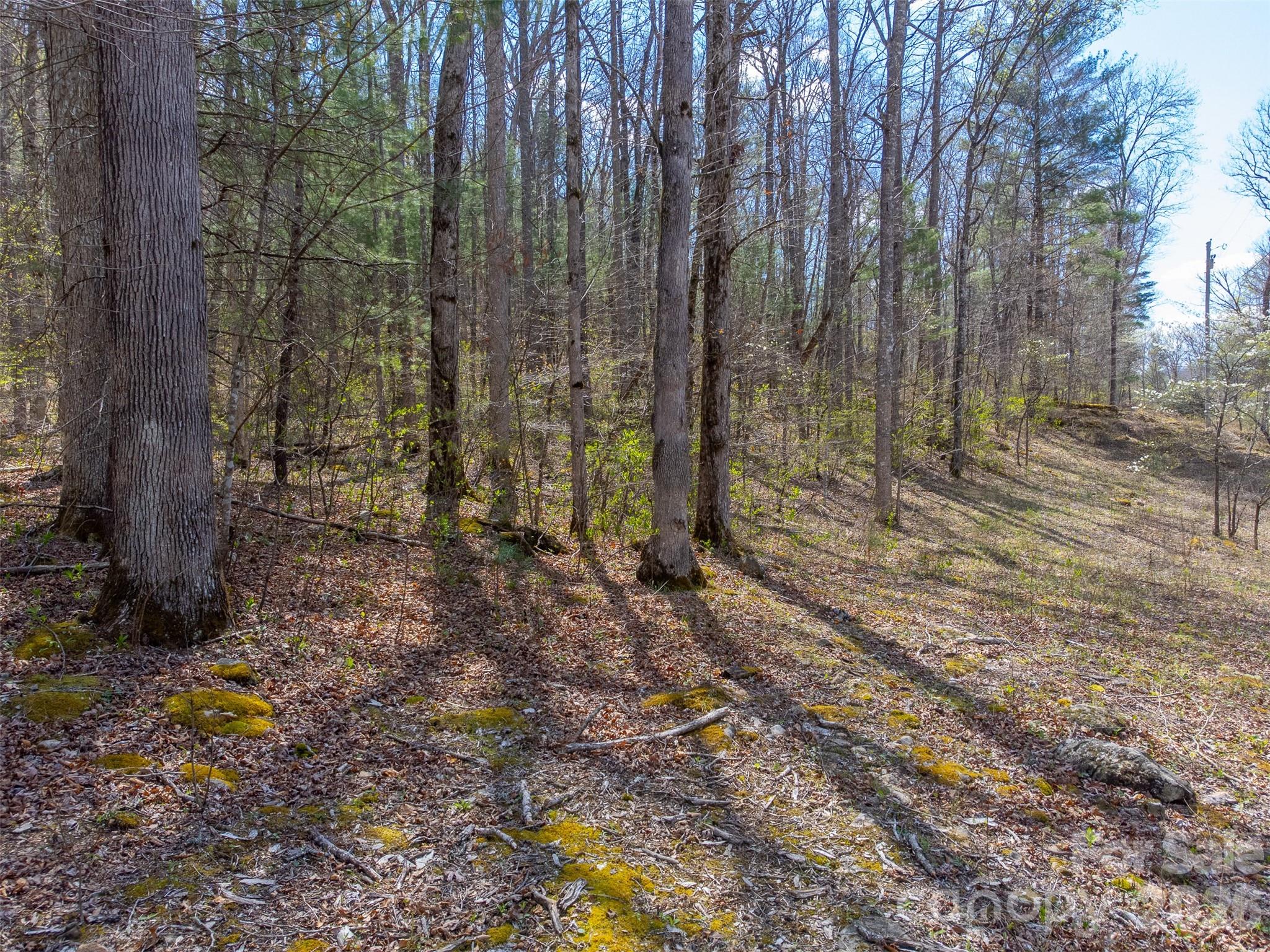 306 Cedar Creek Farm Road Property Photo 10