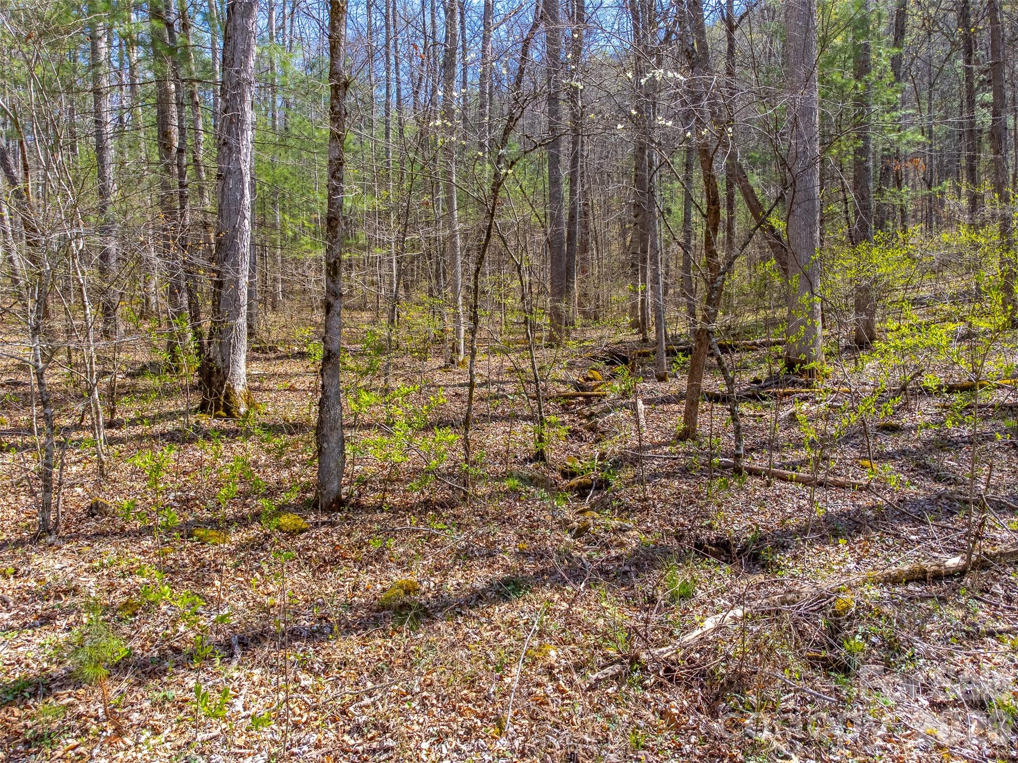 306 Cedar Creek Farm Road Property Photo 11