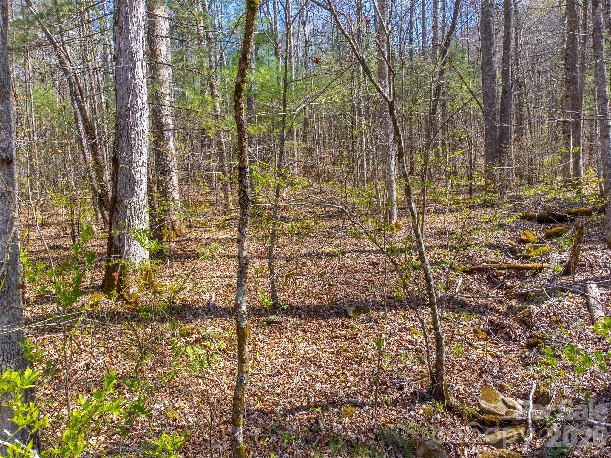 306 Cedar Creek Farm Road Property Photo 12