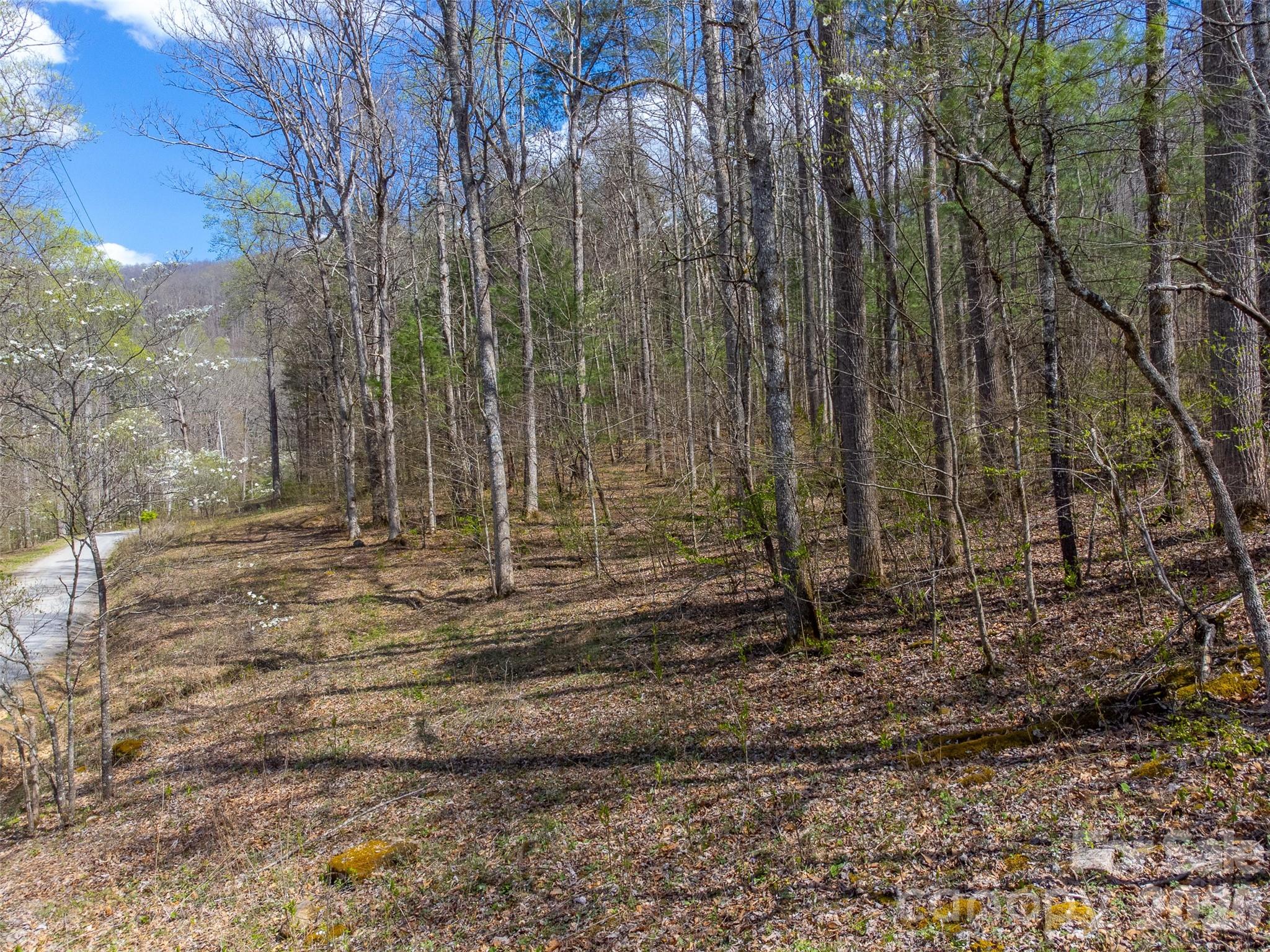 306 Cedar Creek Farm Road Property Photo 13