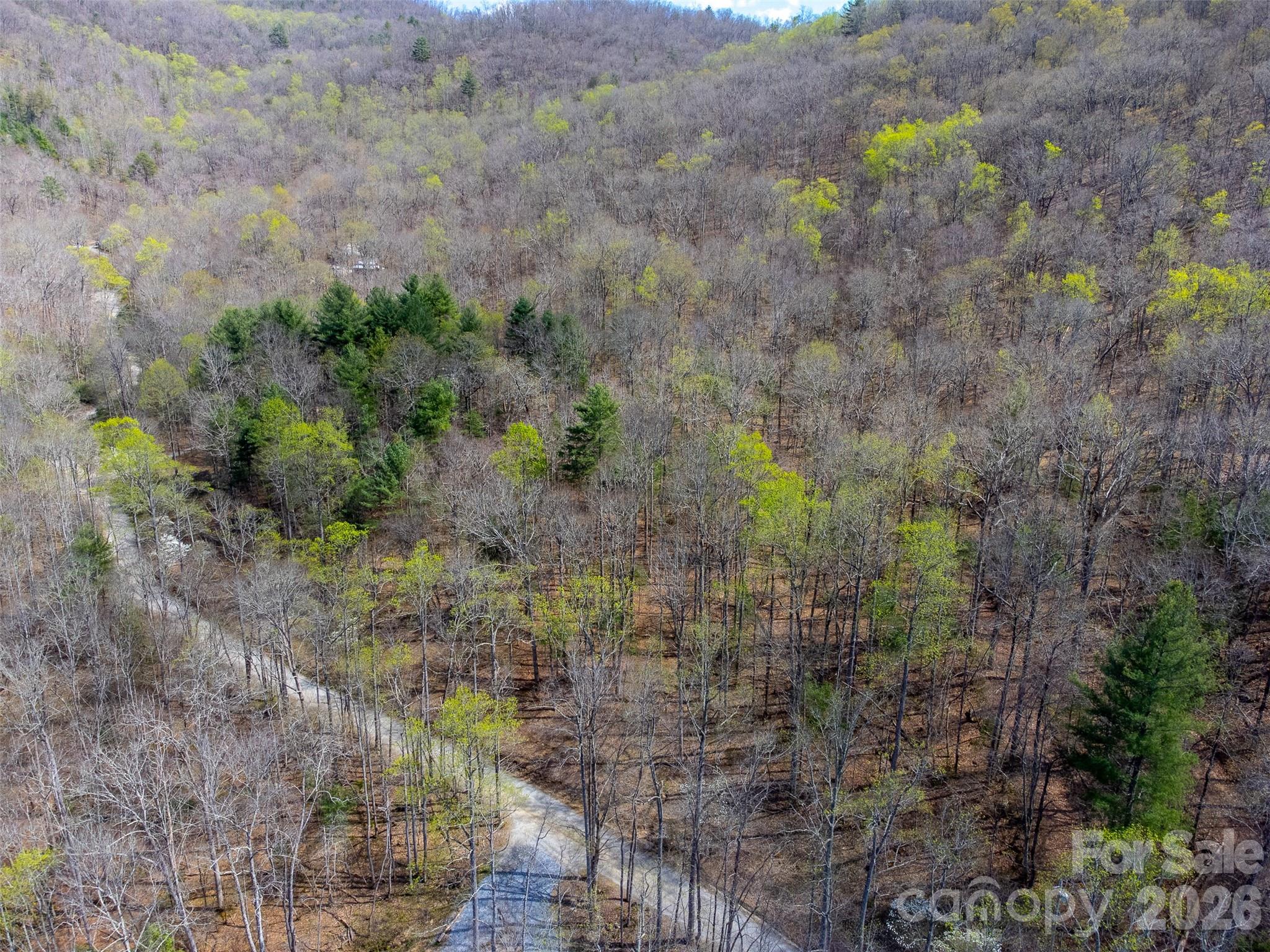 306 Cedar Creek Farm Road Property Photo 14
