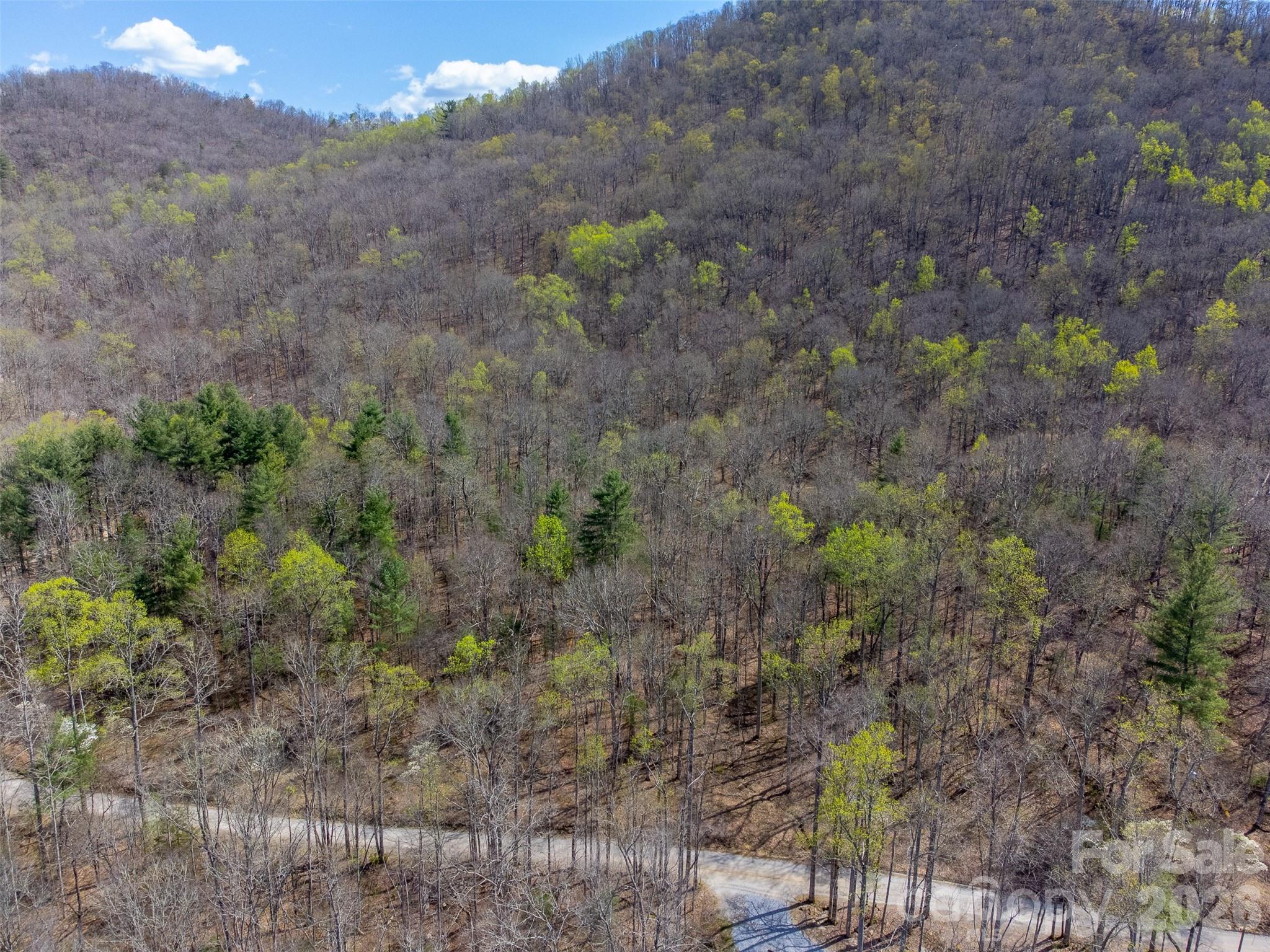 306 Cedar Creek Farm Road Property Photo 15