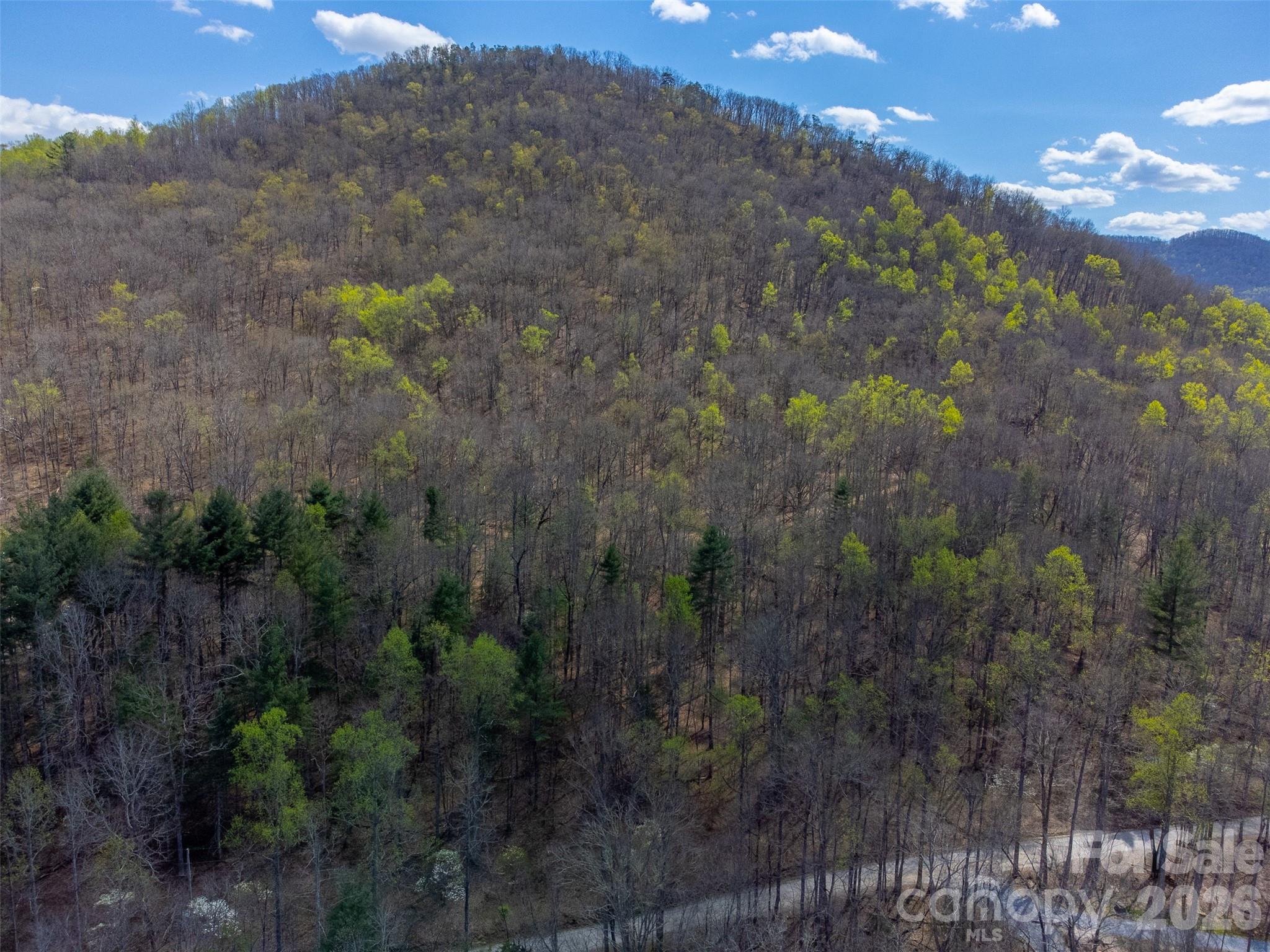 306 Cedar Creek Farm Road Property Photo 16