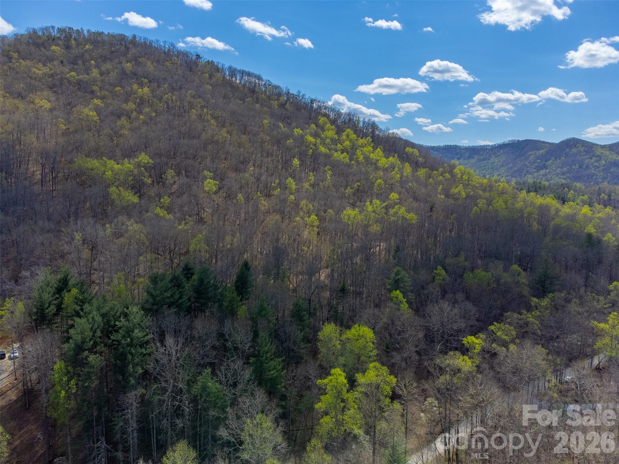 306 Cedar Creek Farm Road Property Photo 17