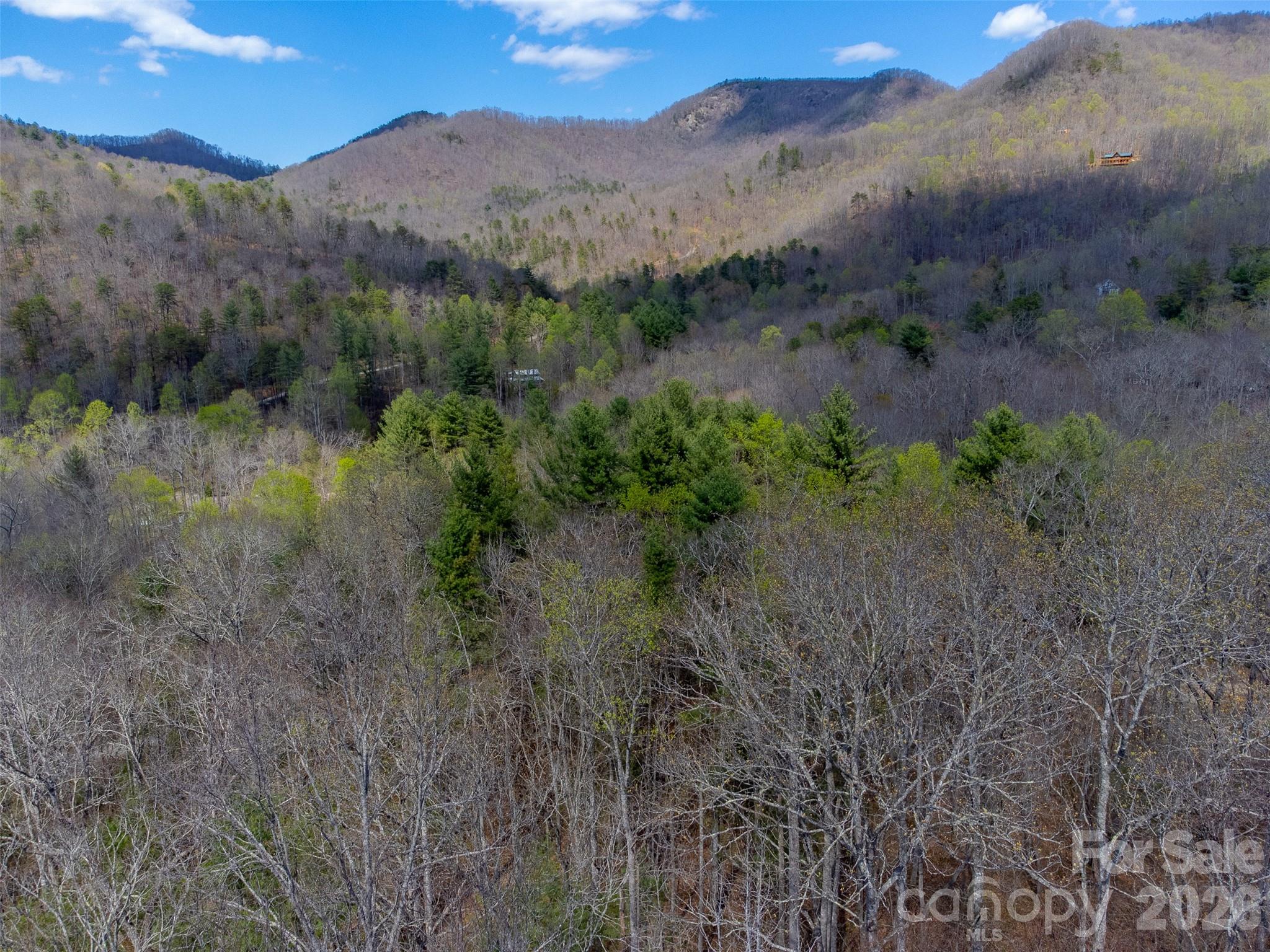 306 Cedar Creek Farm Road Property Photo 21