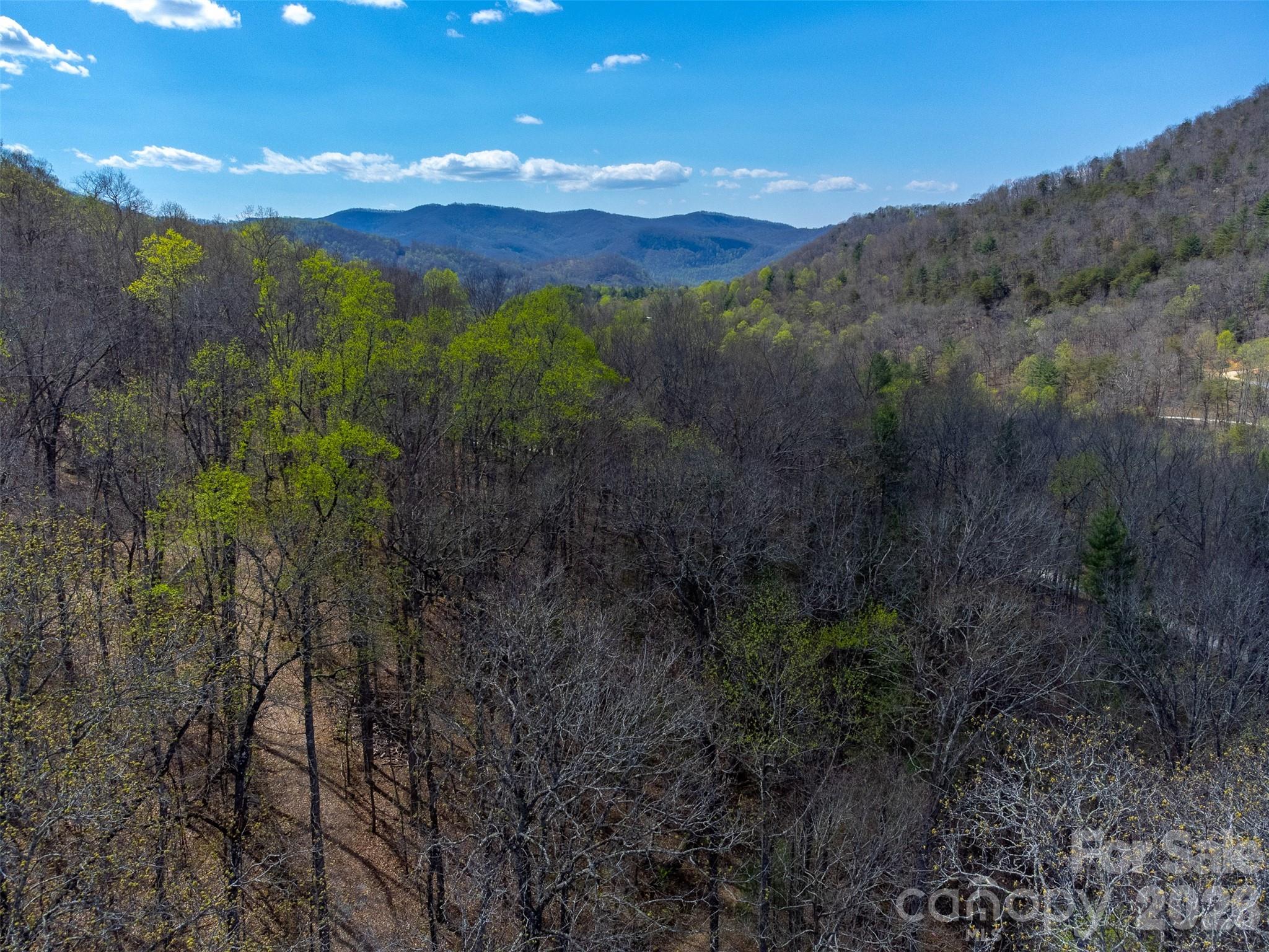 306 Cedar Creek Farm Road Property Photo 22