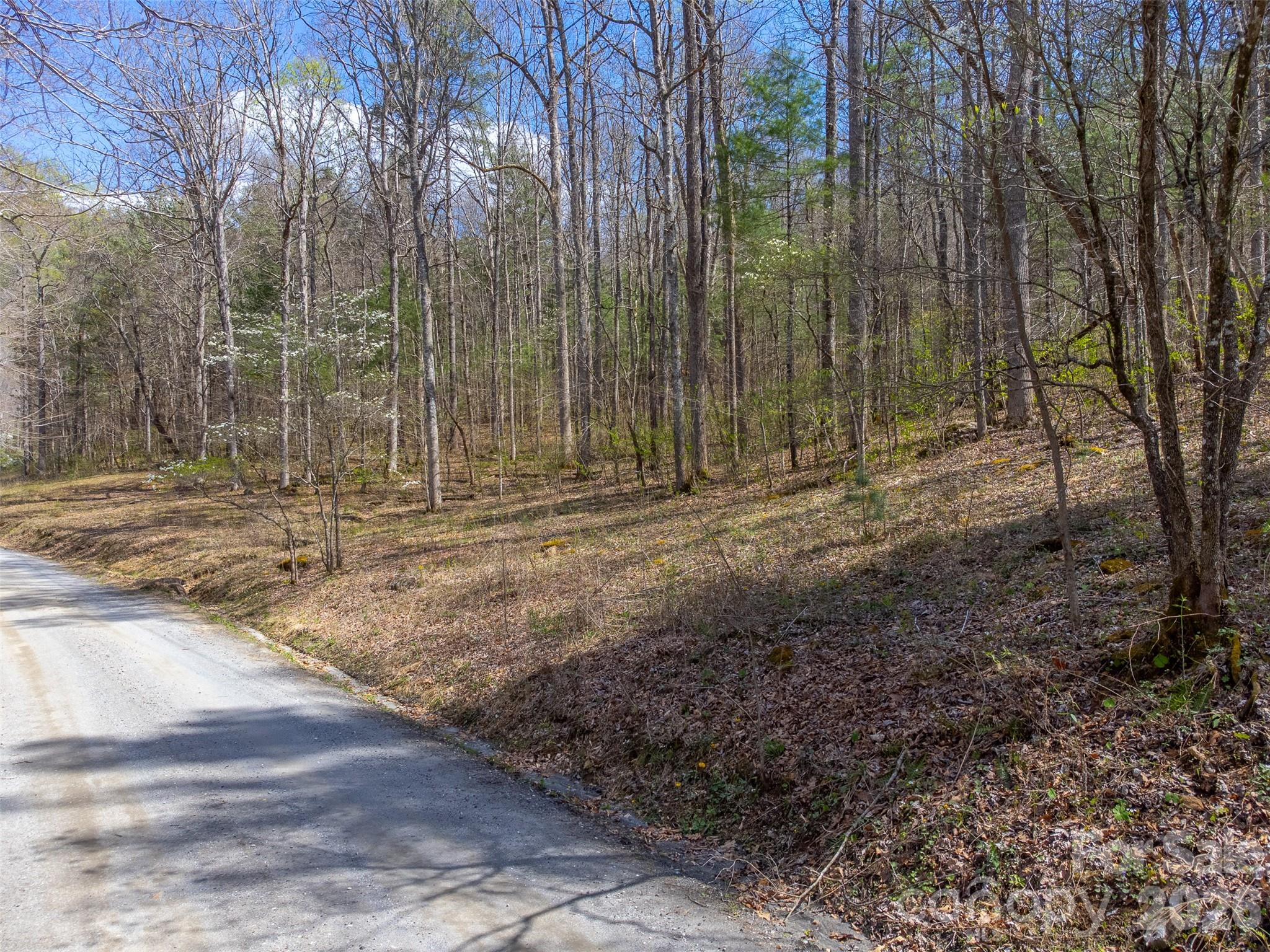 306 Cedar Creek Farm Road Property Photo 29