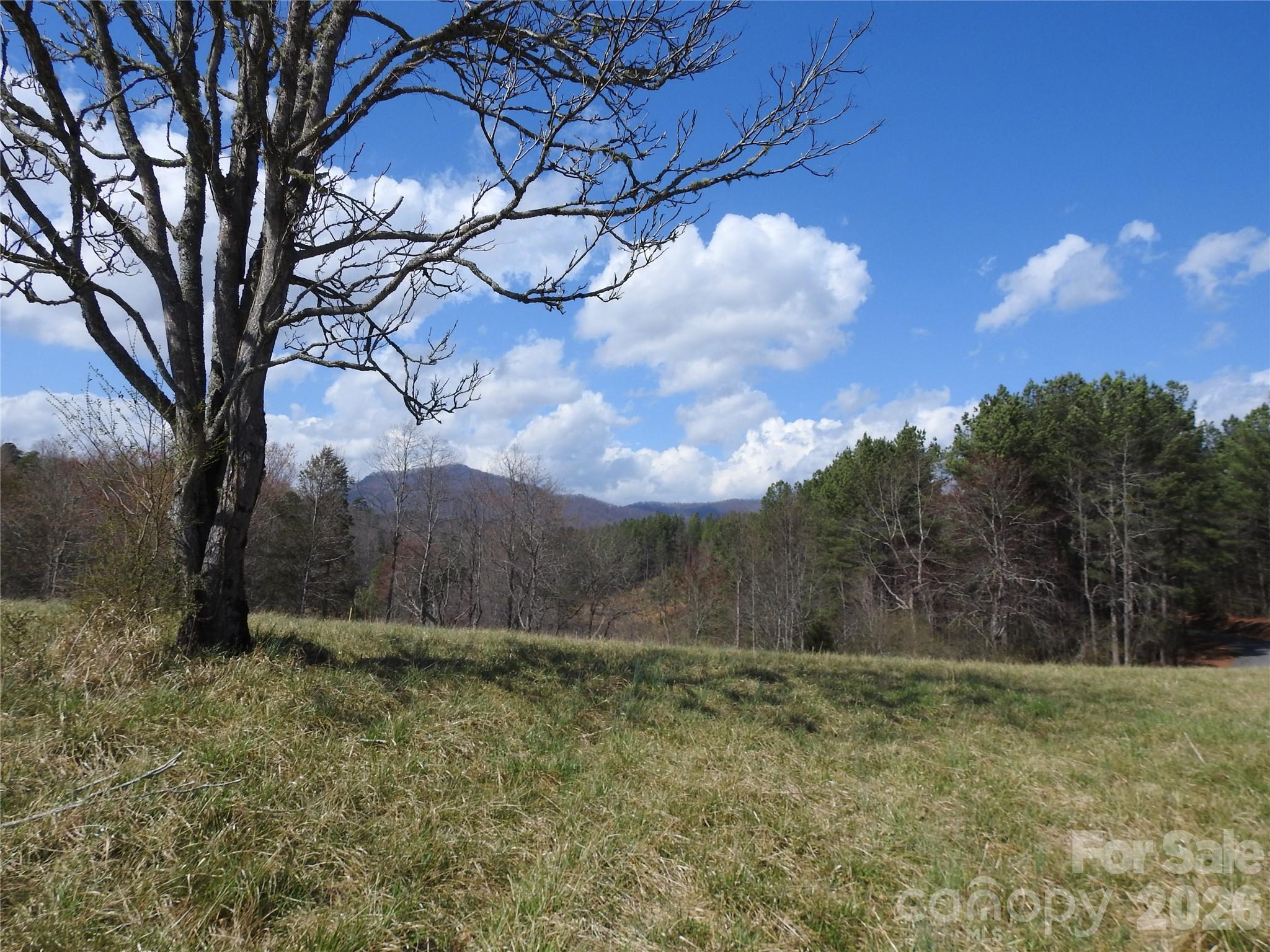 00 Laurel Lakes Parkway 2 Property Photo 1