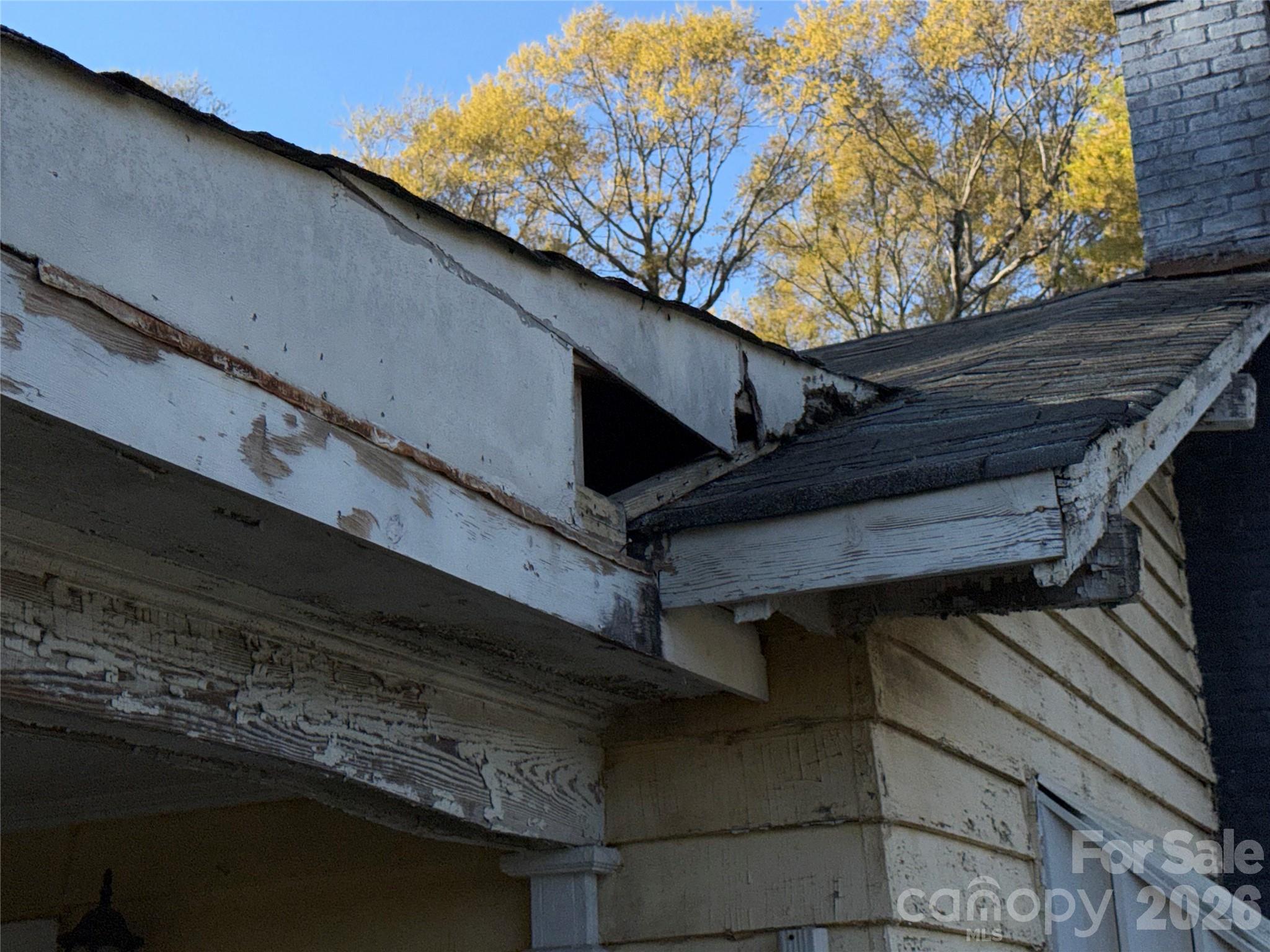 7 Bolt Drive Property Photo 5