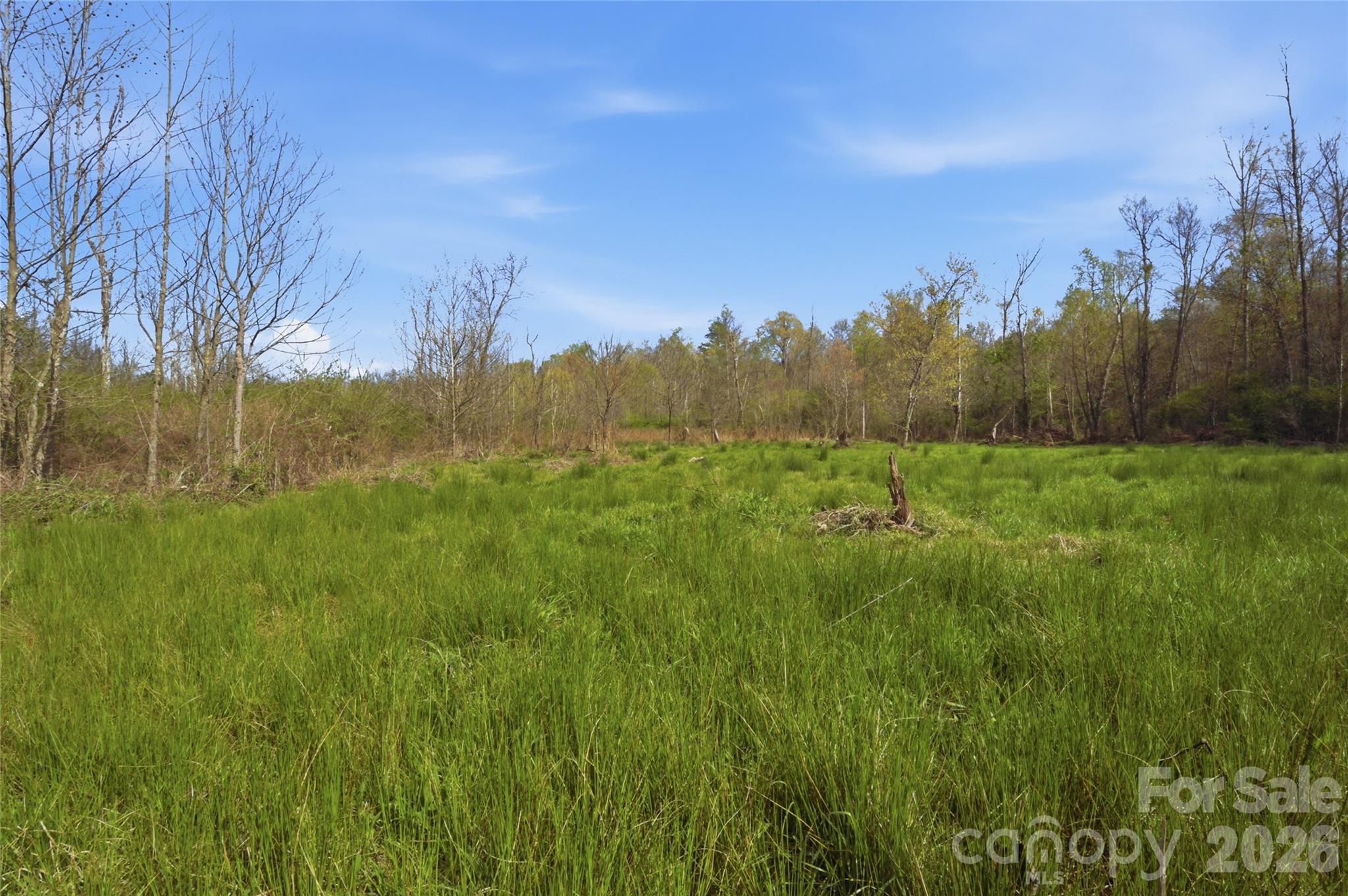 0000 Alf Hoover Road Property Photo 7
