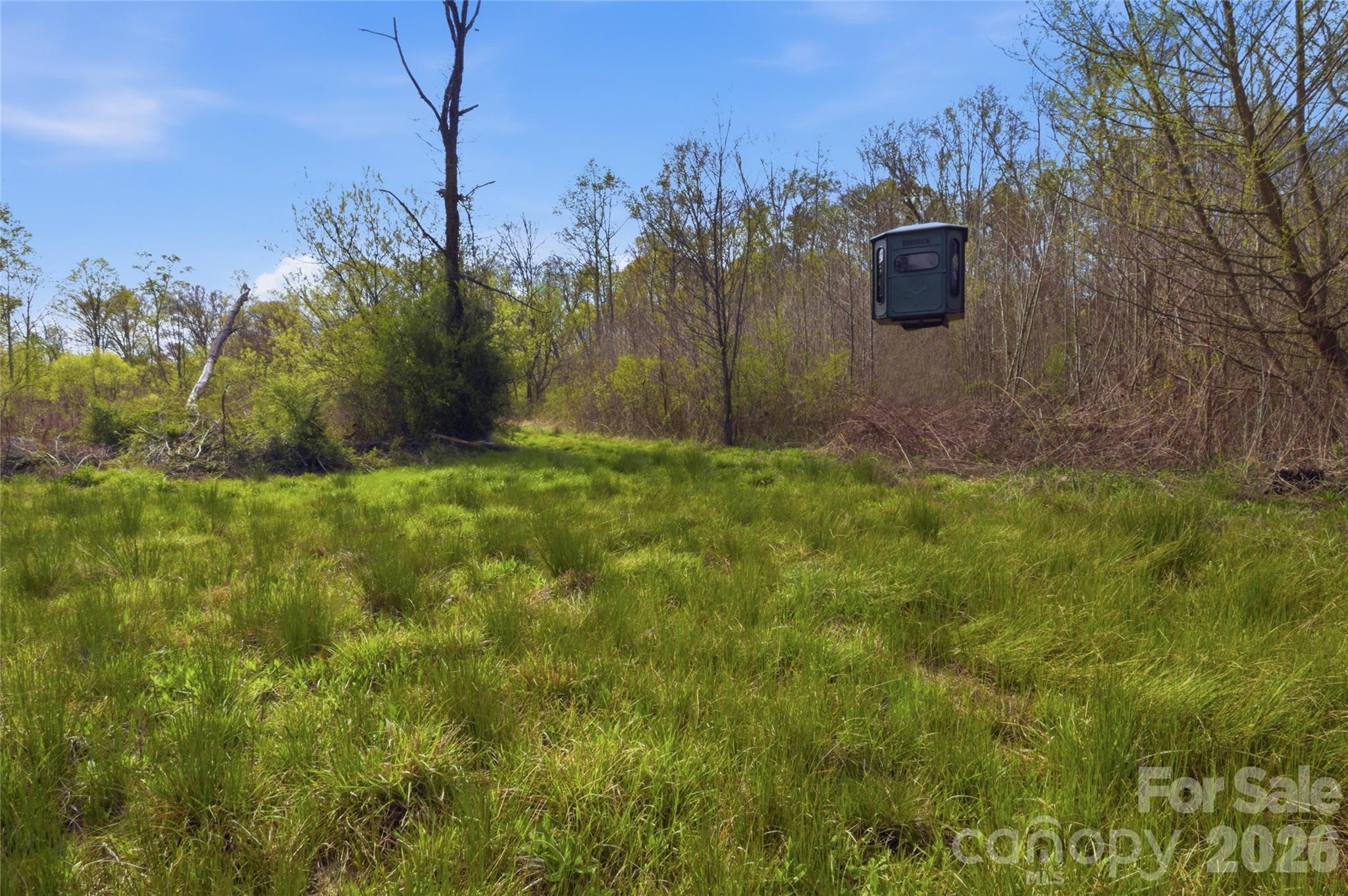 0000 Alf Hoover Road Property Photo 8