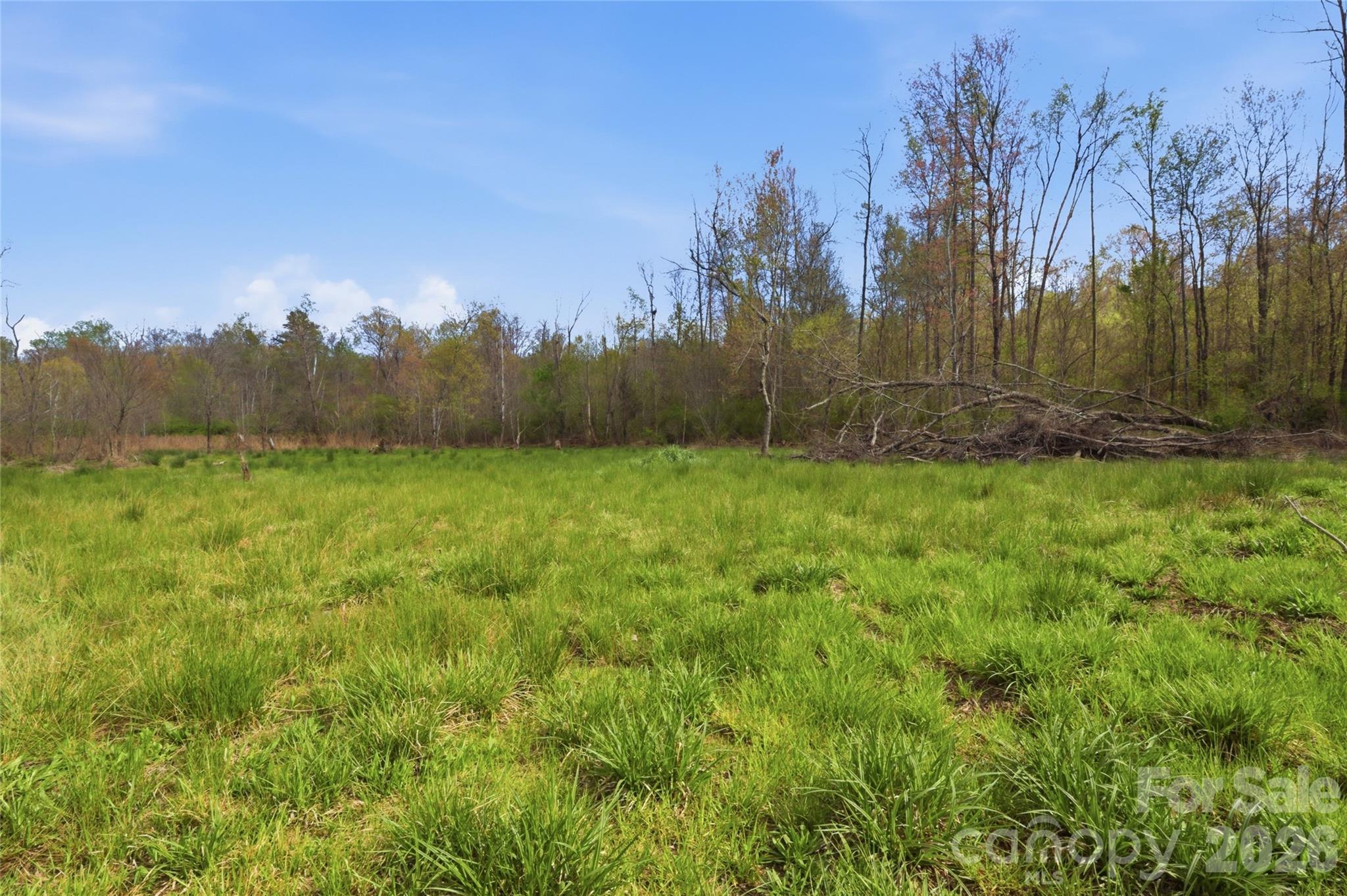 0000 Alf Hoover Road Property Photo 9