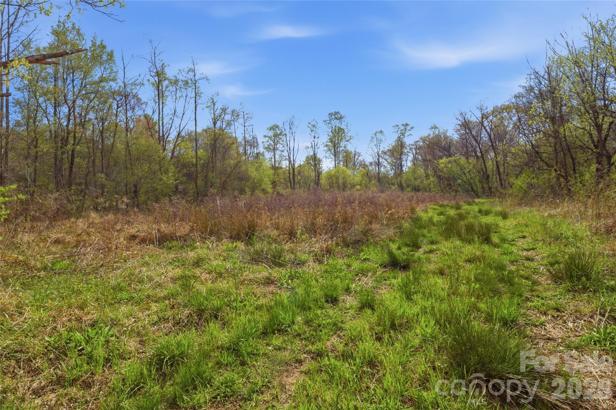 0000 Alf Hoover Road Property Photo 10