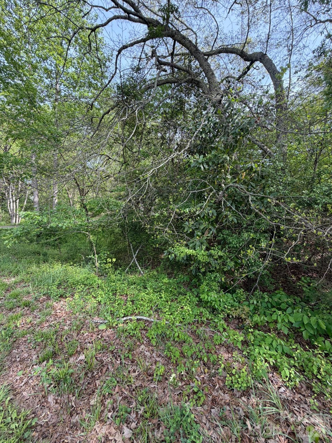 125 Sharon Road Property Photo 2