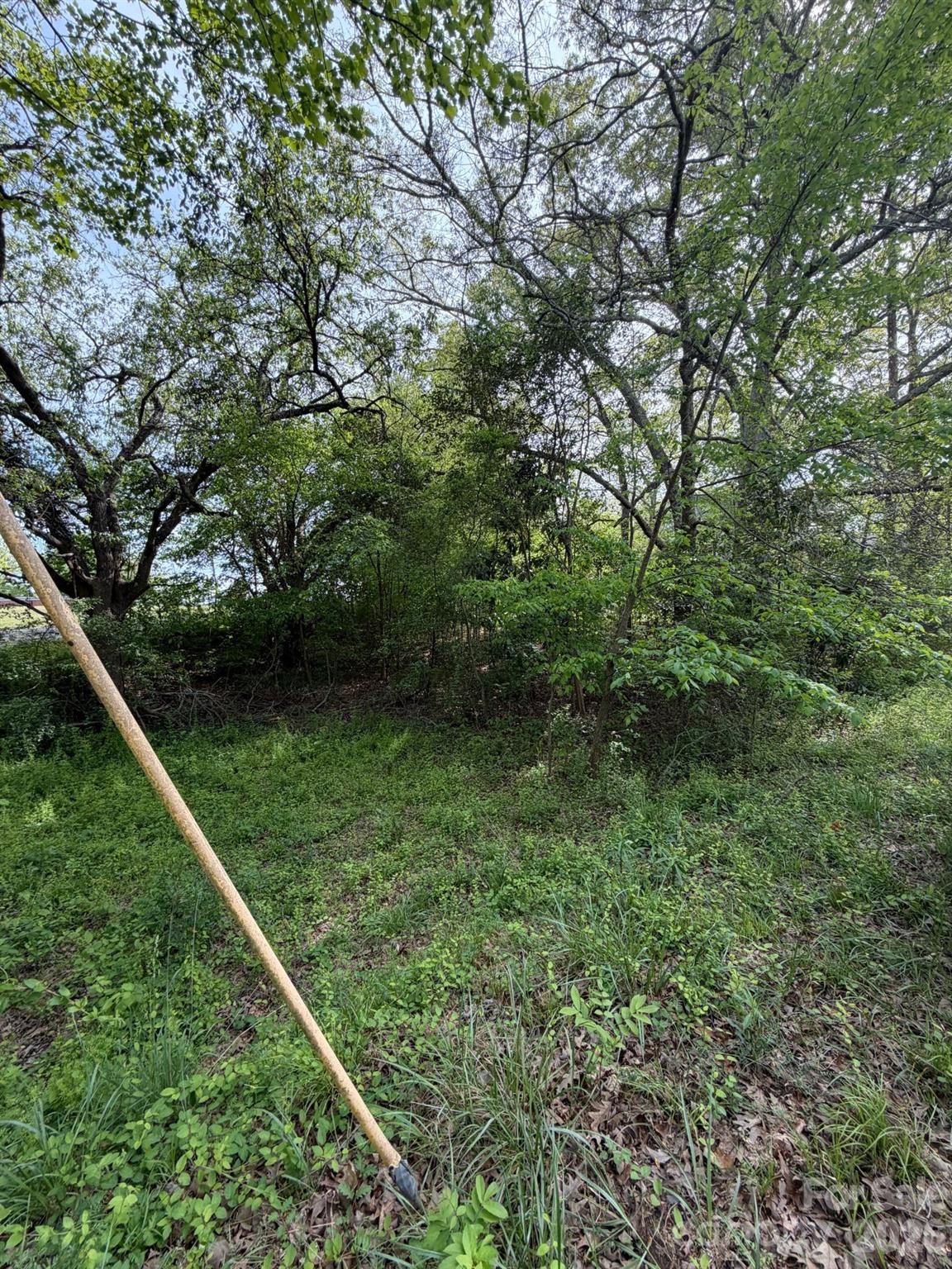 125 Sharon Road Property Photo 4