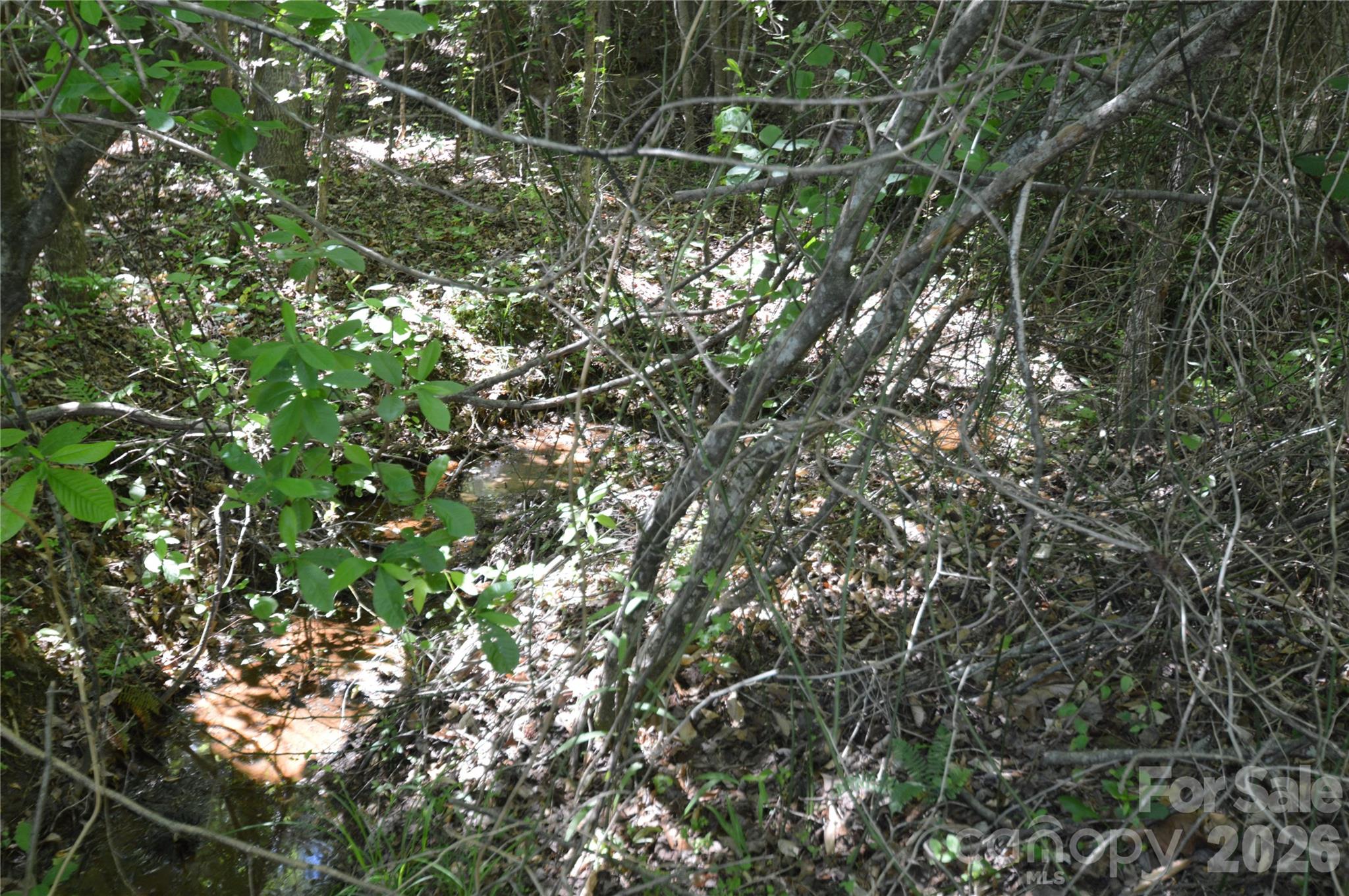 2500 S Blackstock Road Property Photo 47