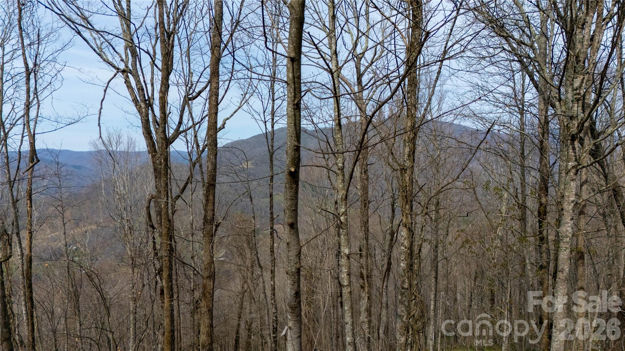 000 Tyler Lane Fork Mountain Road Property Photo 2