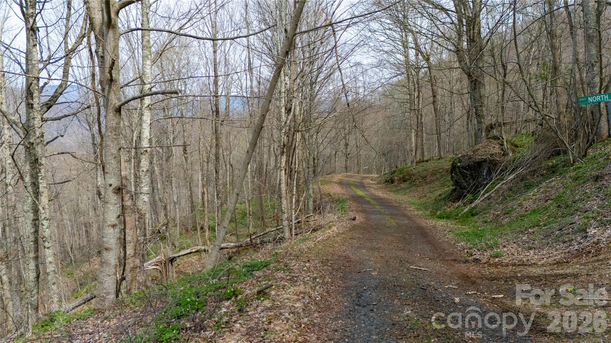 000 Tyler Lane Fork Mountain Road Property Photo 3