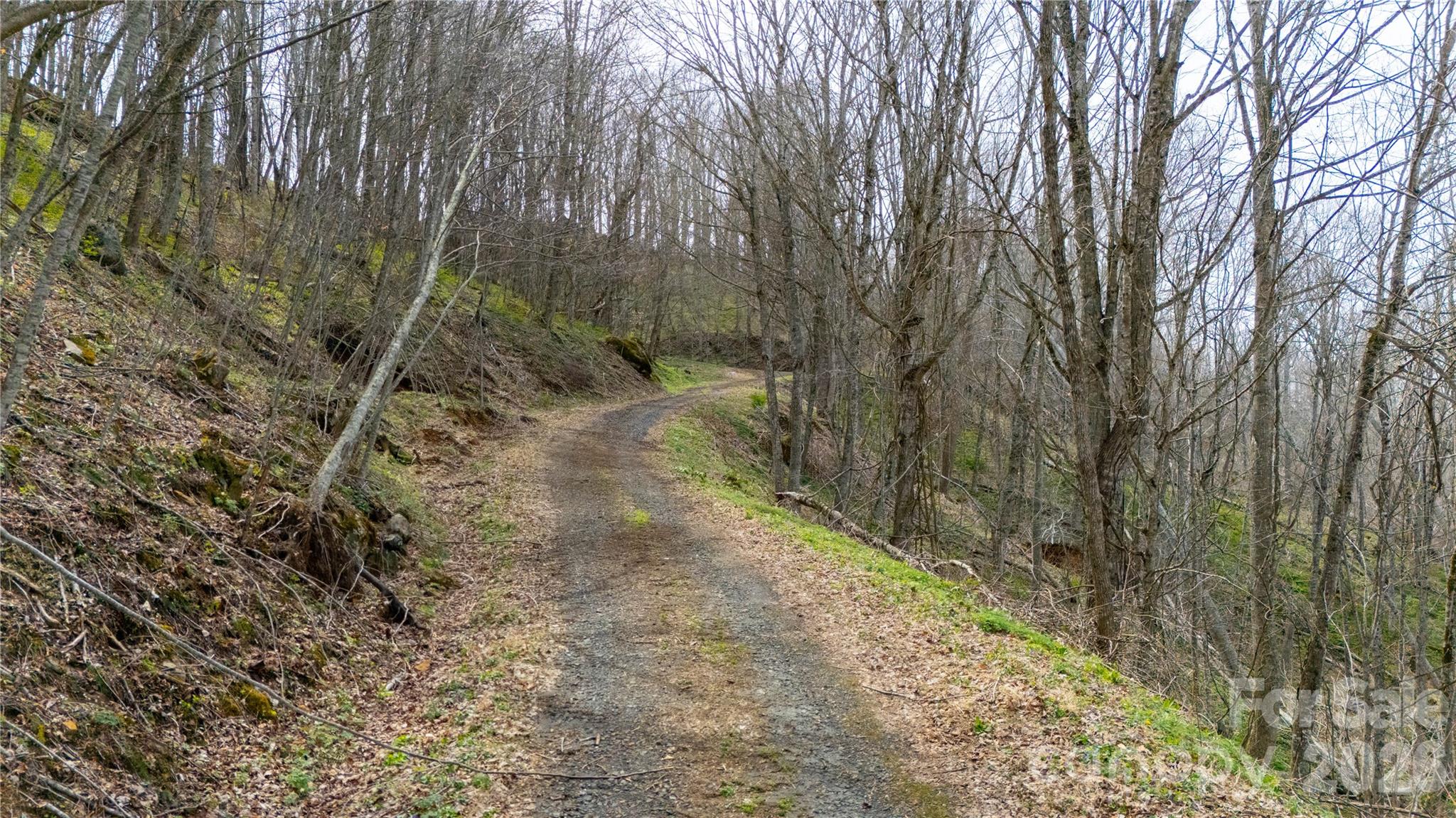 000 Tyler Lane Fork Mountain Road Property Photo 5