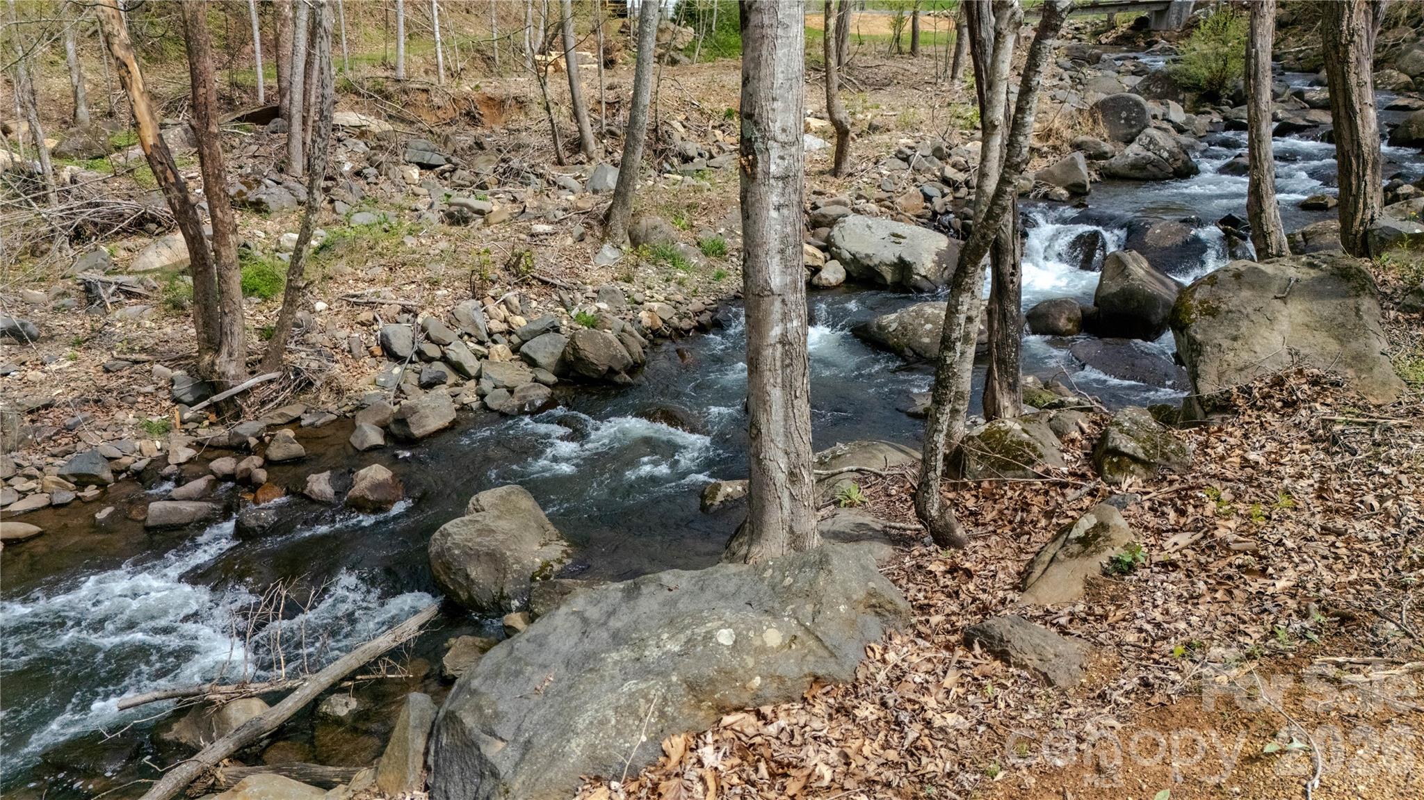 000 Tyler Lane Fork Mountain Road Property Photo 9