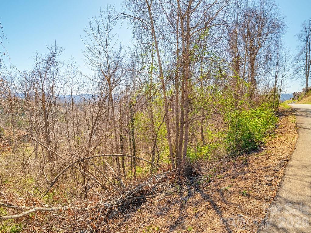 61 Ben Lippen School Road Property Photo 3