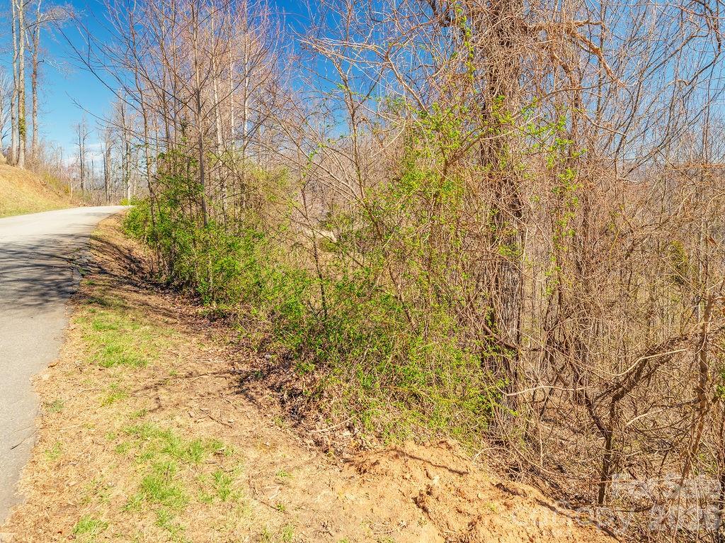 61 Ben Lippen School Road Property Photo 4
