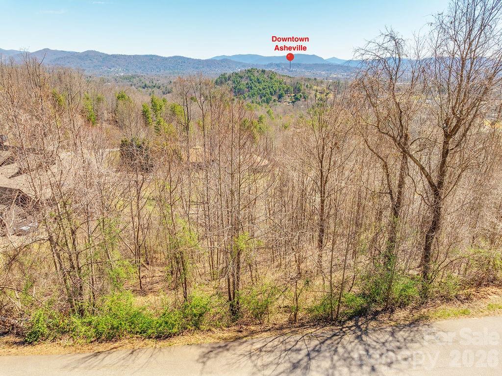 61 Ben Lippen School Road Property Photo 5
