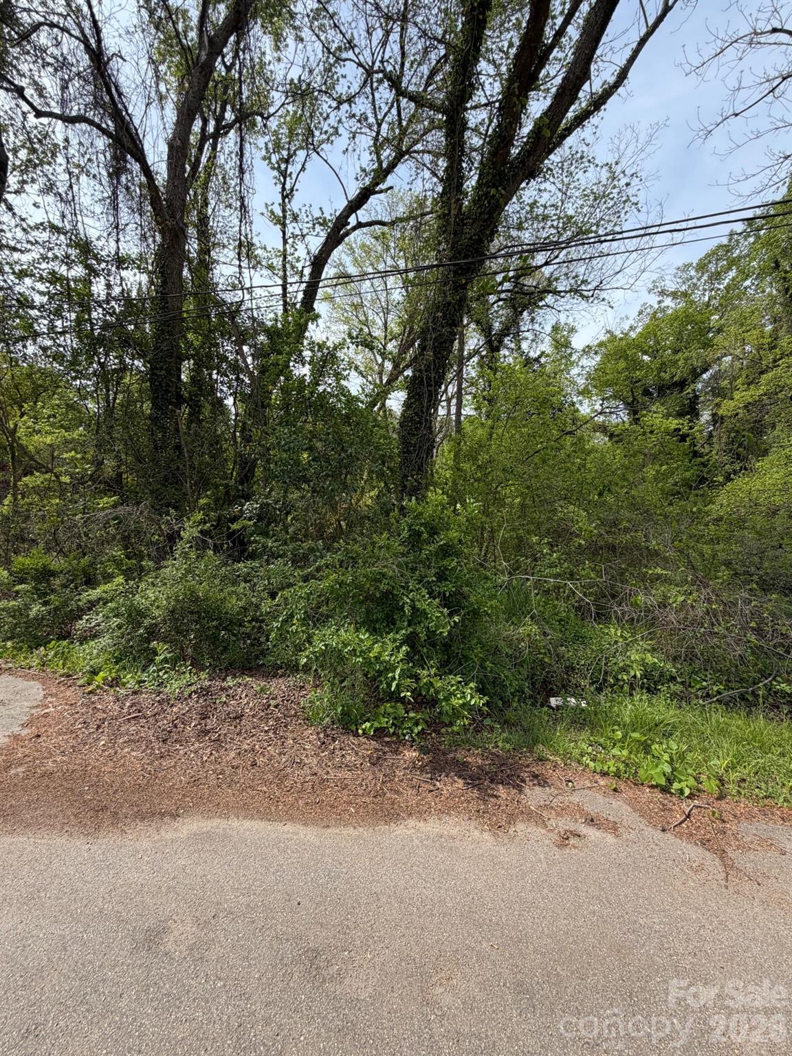 1193 Watson Street Property Photo 1