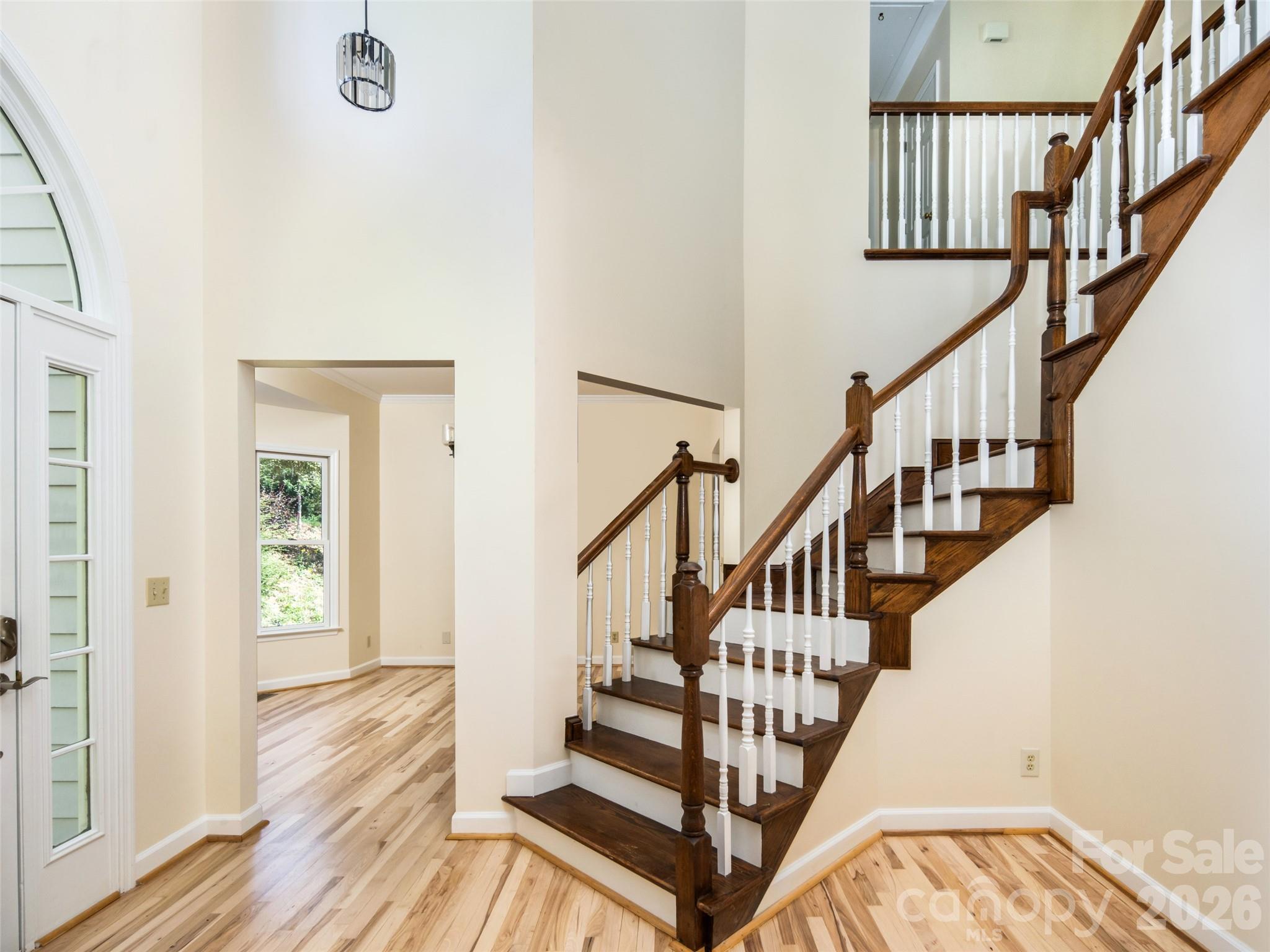 39 Eastmoor Drive Property Photo 3