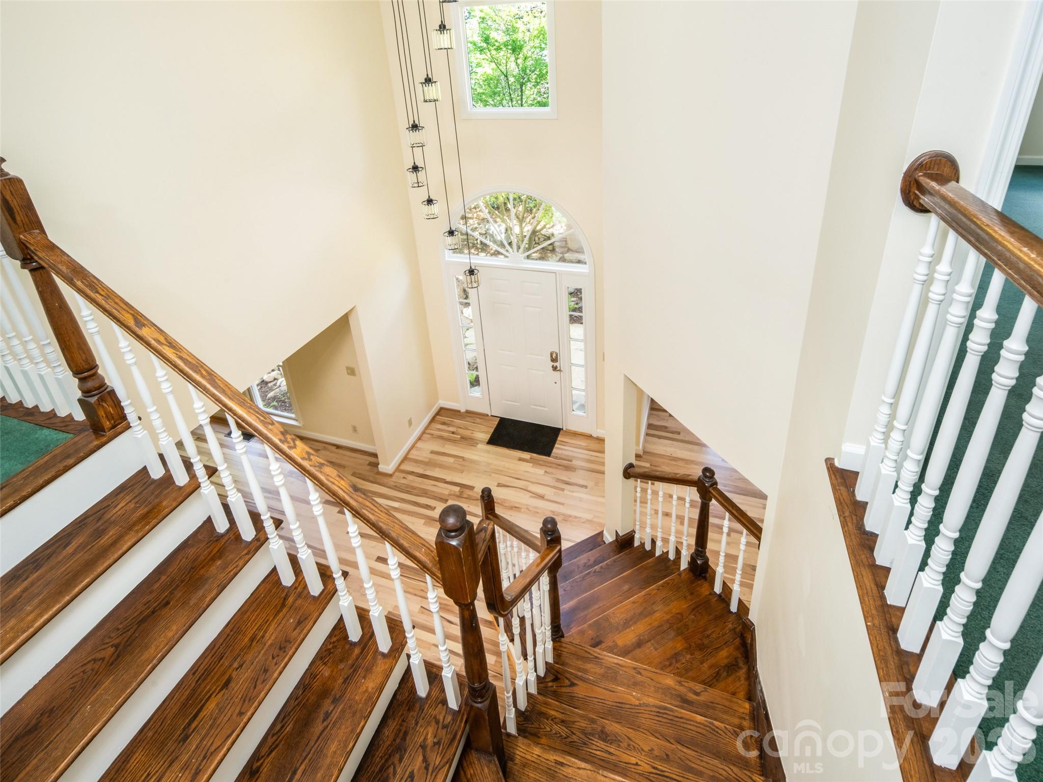 39 Eastmoor Drive Property Photo 25